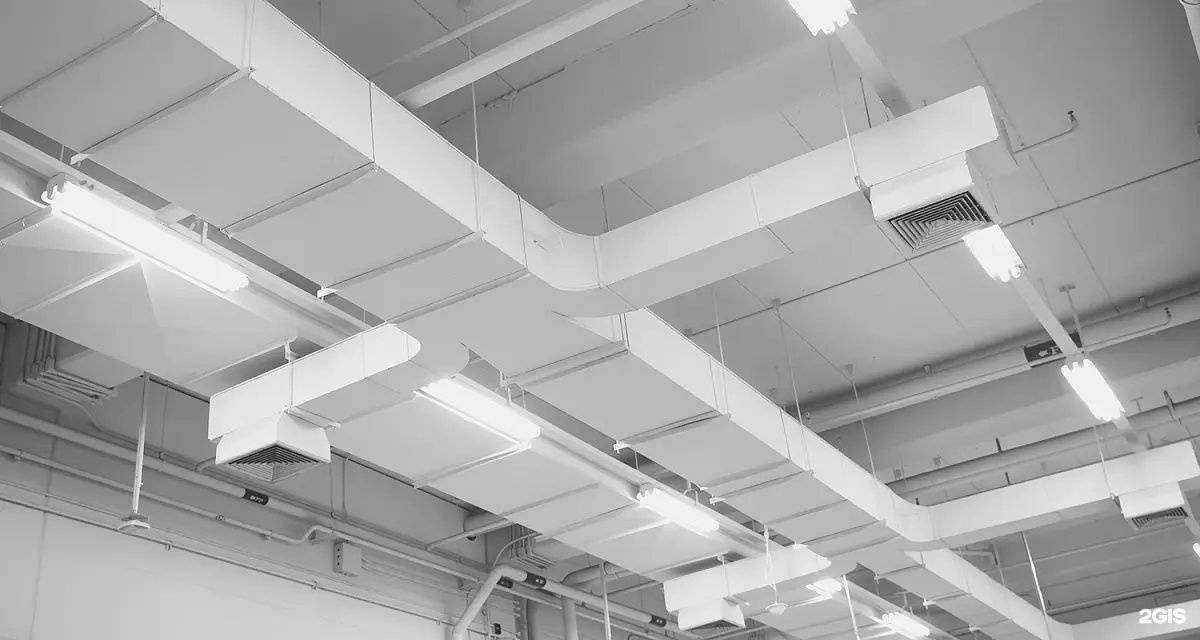 Отзывы на компанию Techno Sonus в Ростове-на-Дону c фото