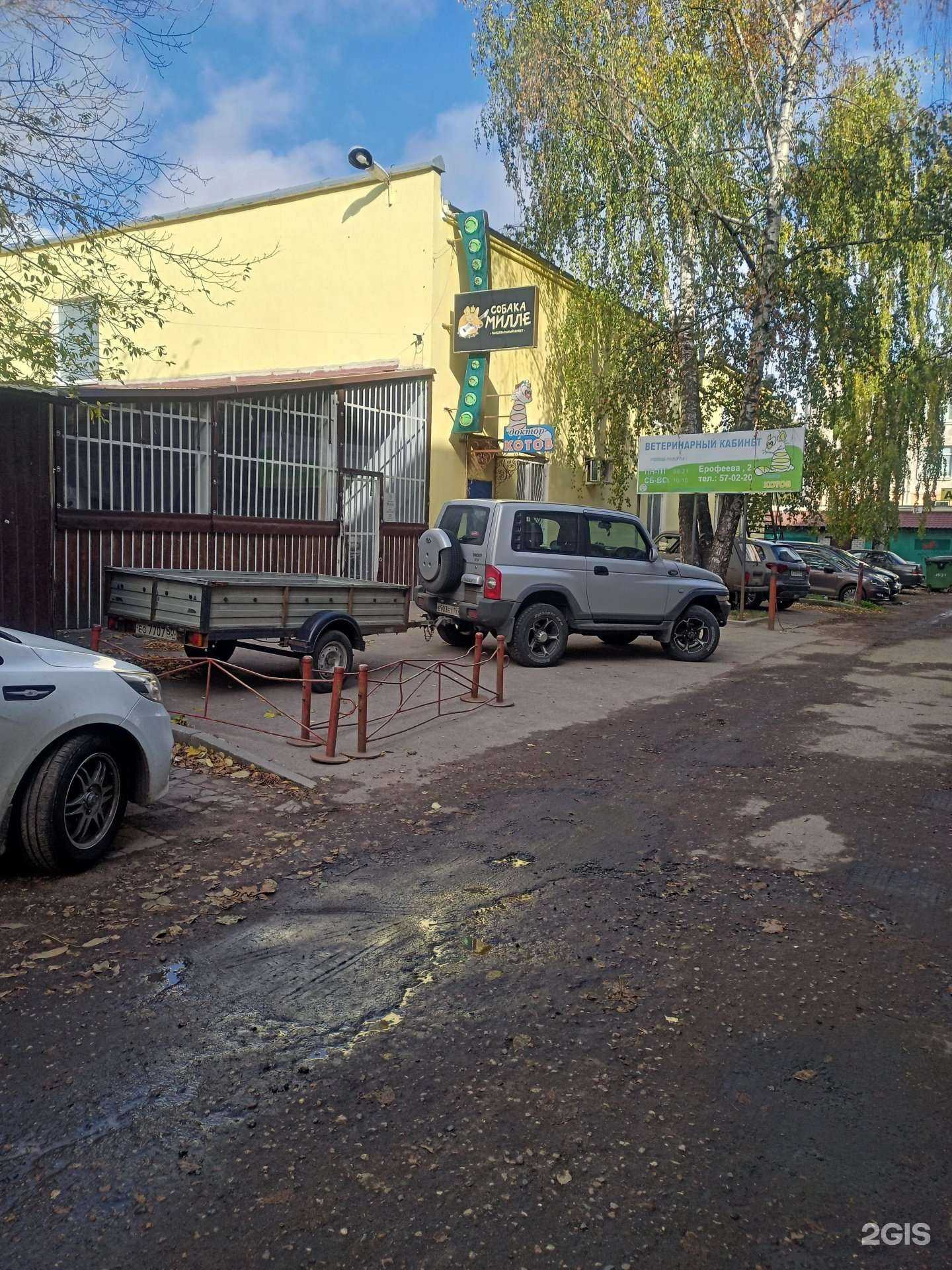 Отзывы на компанию Собака Милле в Твери c фото - фотография 2 из 2