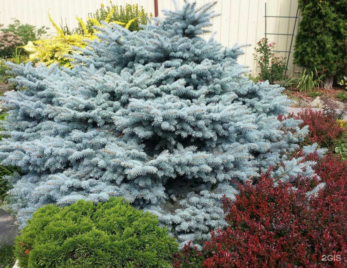 Отзывы на компанию Дачный мир в г. Казань c фото