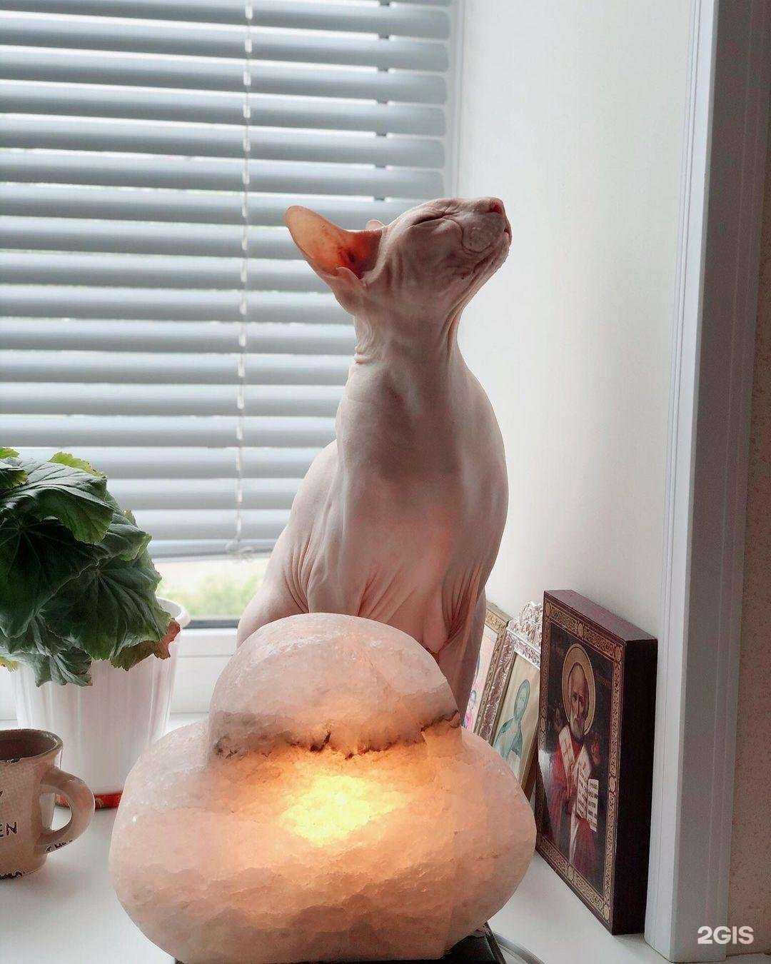 Отзывы на компанию Miomassage в г. Уссурийск c фото