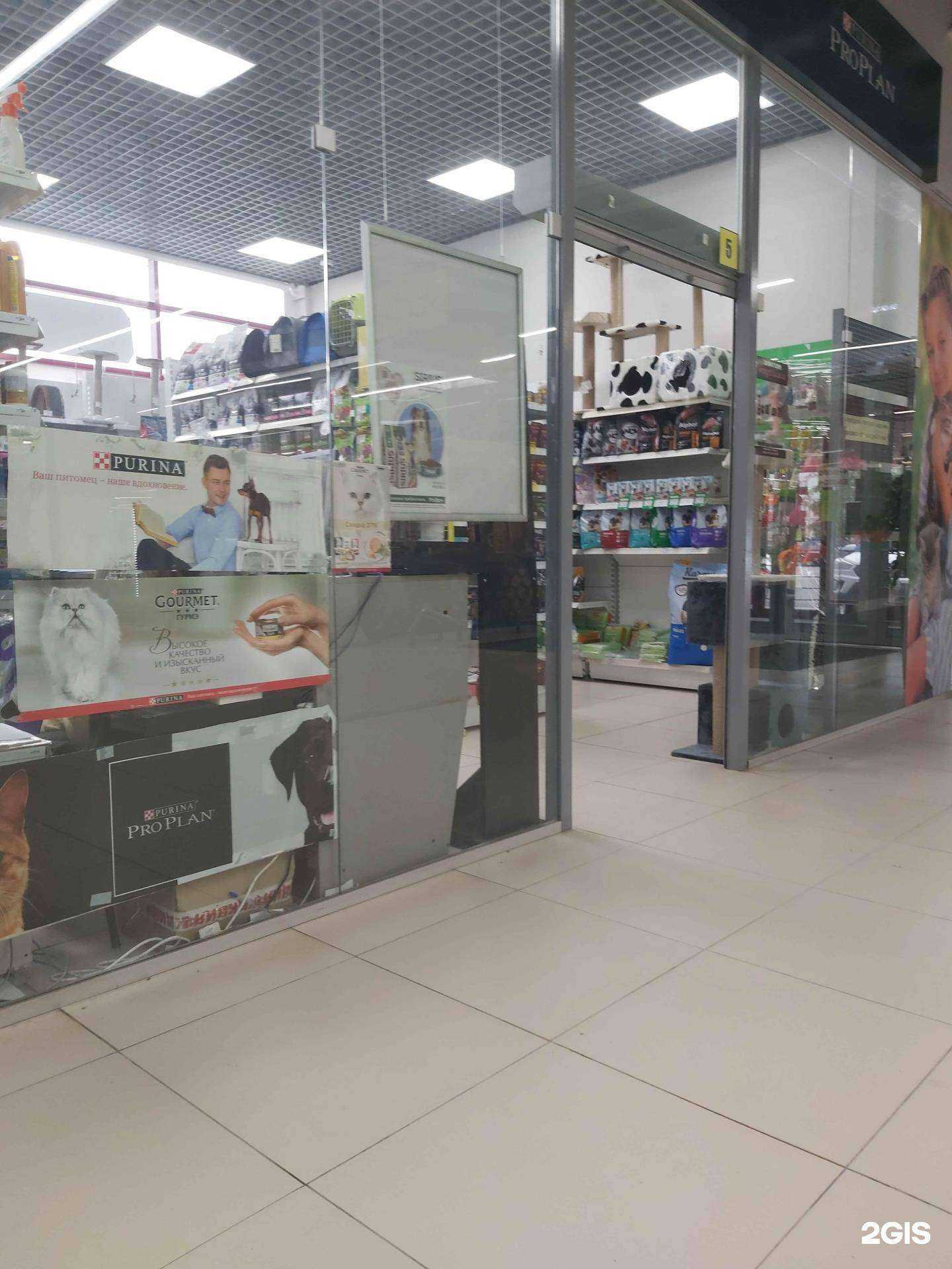 Отзывы на компанию Мадагаскар в г. Ярославль c фото