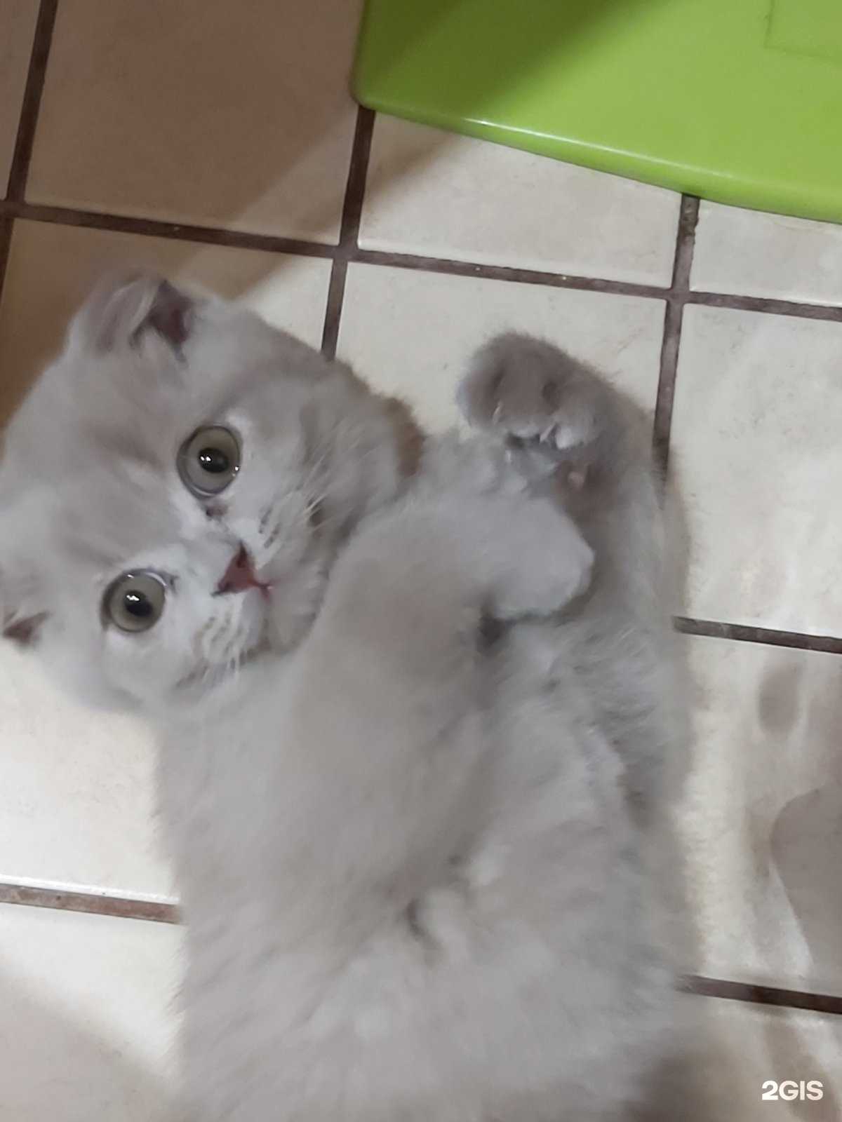 Отзывы на компанию Fru.Buket в Балакове c фото - фотография 2 из 2