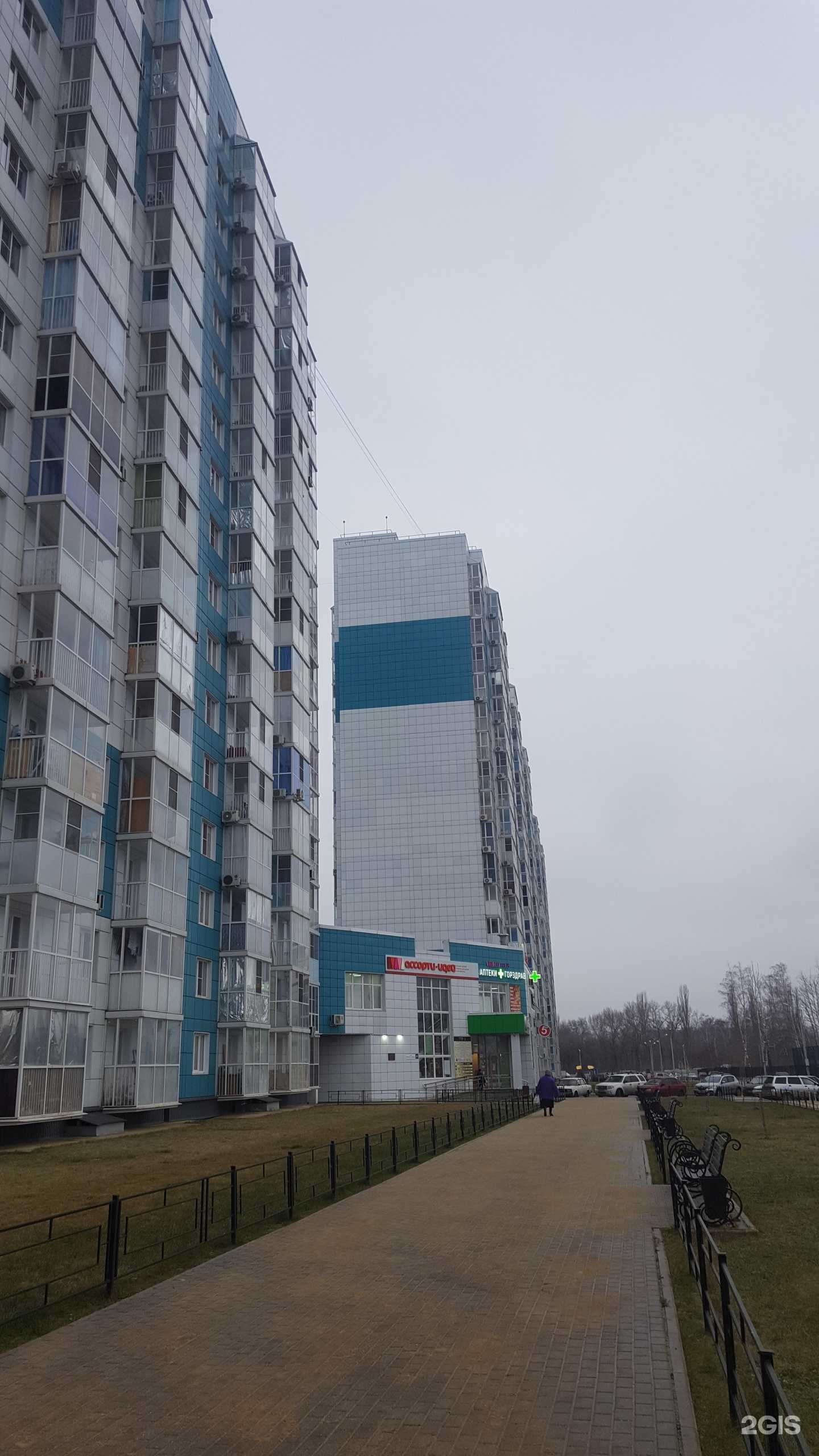 Отзывы на компанию Горздрав в Воронеже c фото - фотография 2 из 2