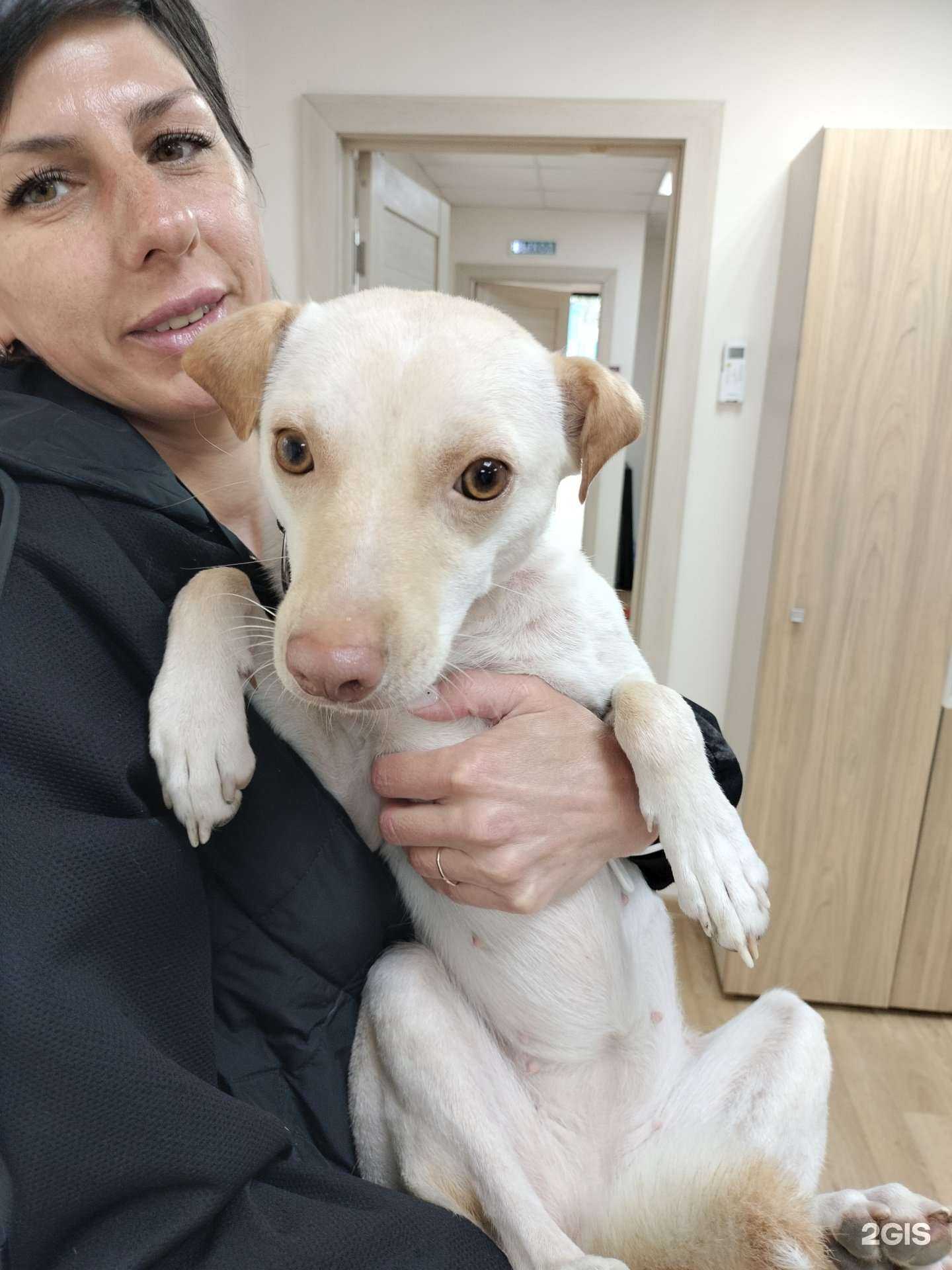 Отзывы на компанию Станция по борьбе с болезнями животных №1 в г. Южно-Сахалинск c фото