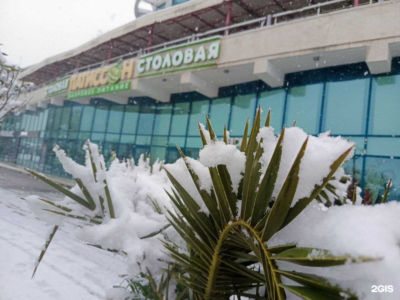 Отзывы на компанию Патиссон в г. Сочи c фото