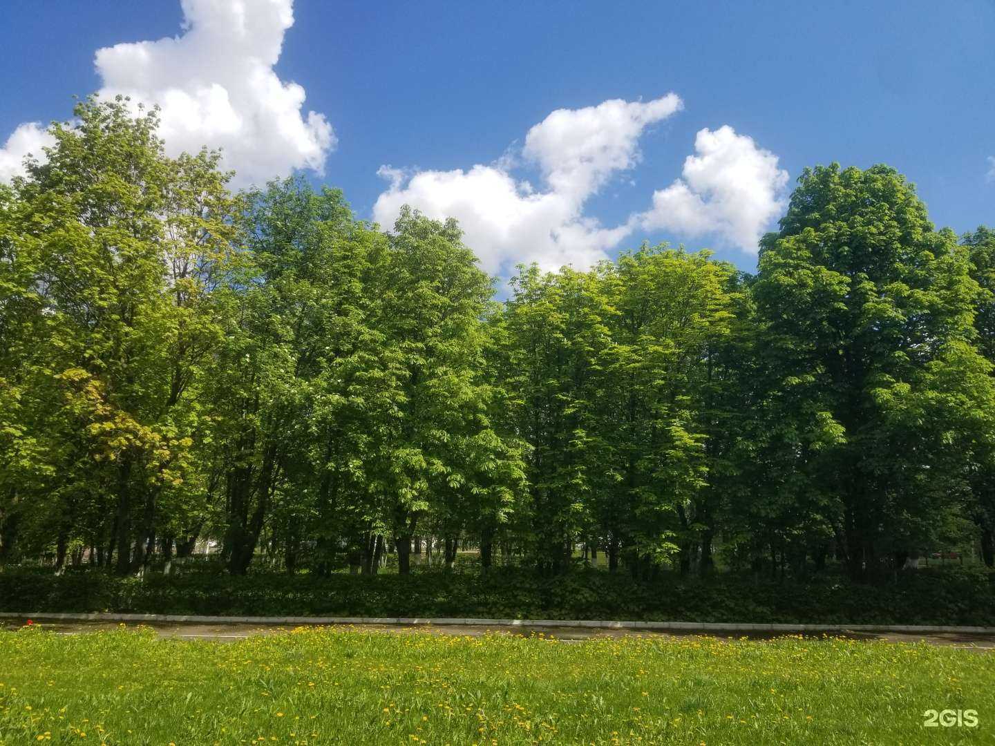 Отзывы на компанию Орловский государственный университет им. И.С. Тургенева в г. Орёл c фото