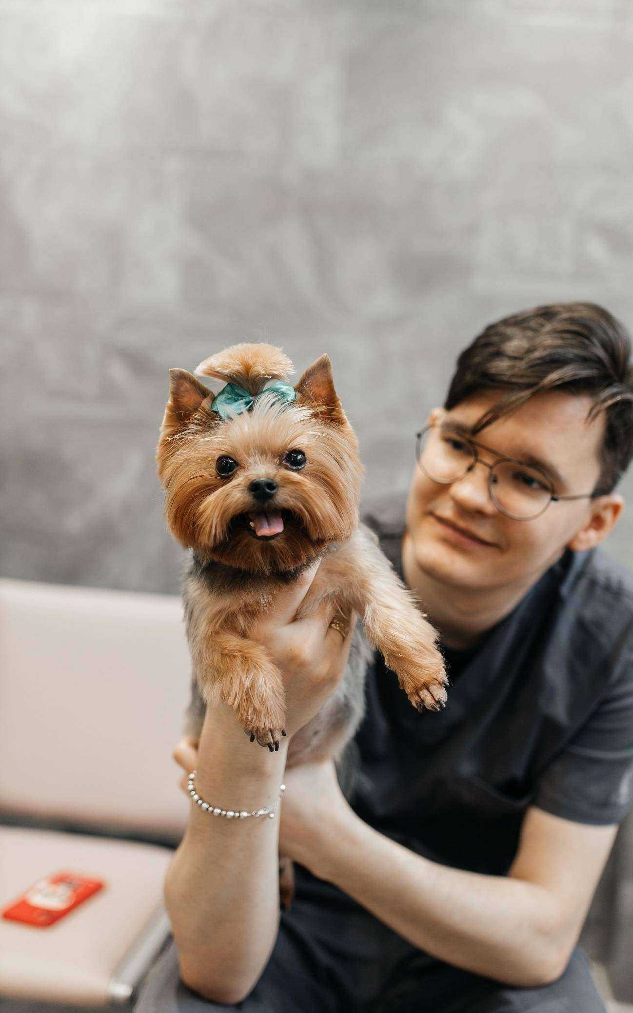 Отзывы на компанию Имунти вет в г. Люберцы c фото