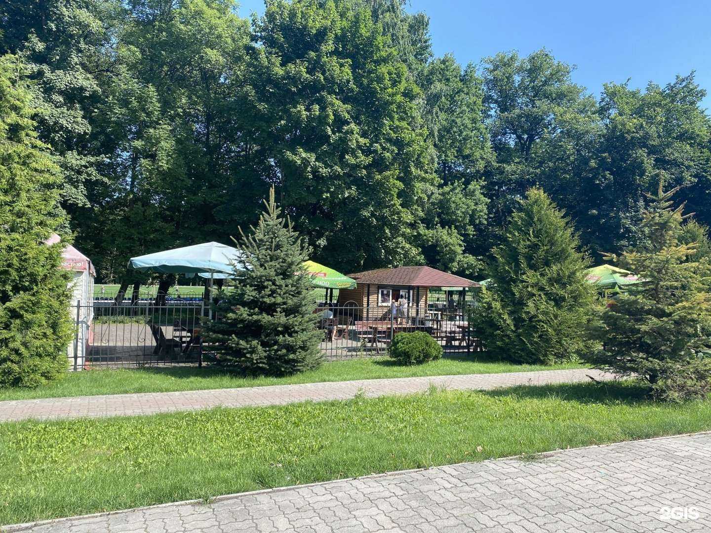 Отзывы на компанию Кафе  в Гурьевске c фото