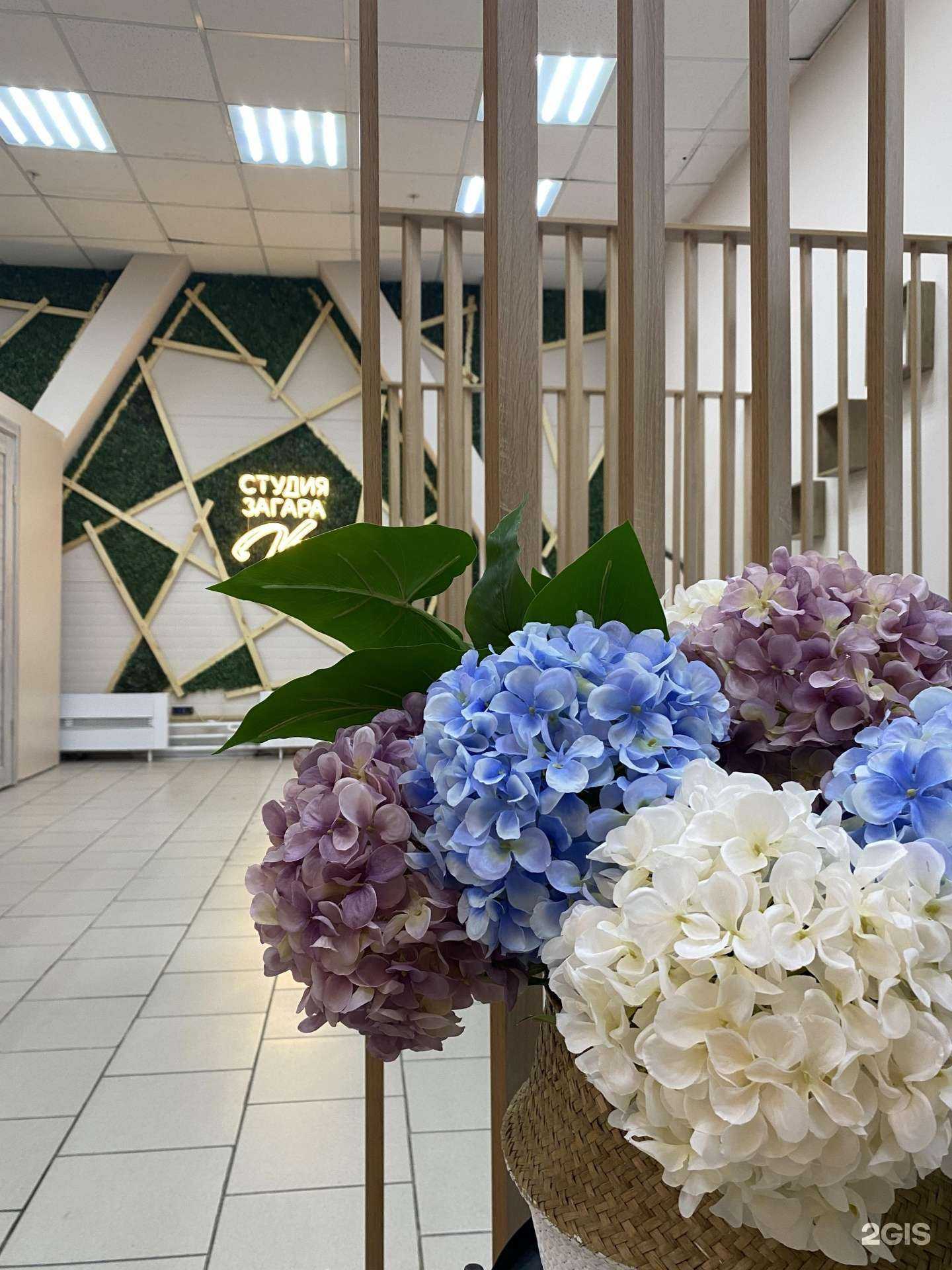 Отзывы на компанию Viki в г. Новокузнецк c фото