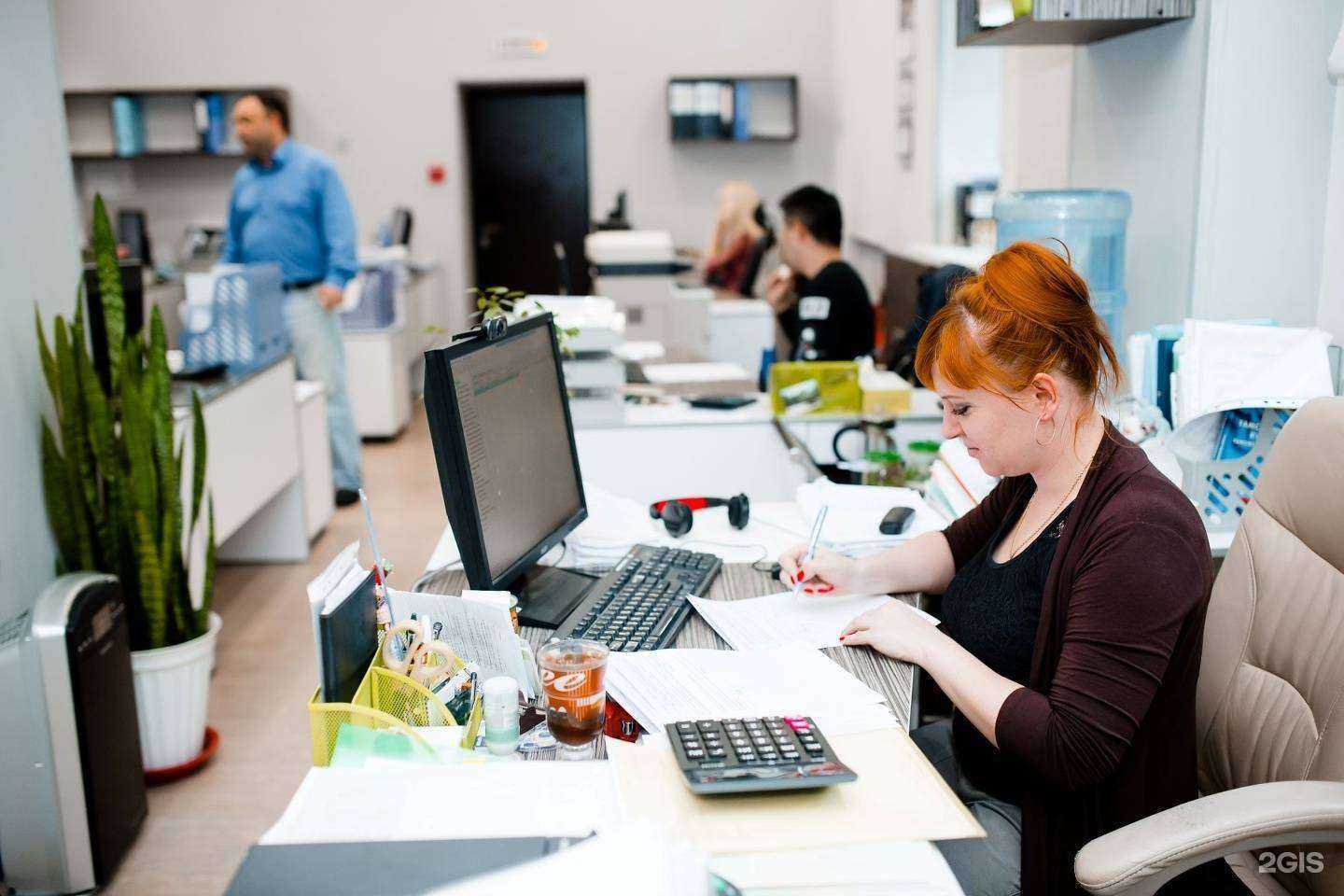 Отзывы на компанию Альтерна в г. Владивосток c фото