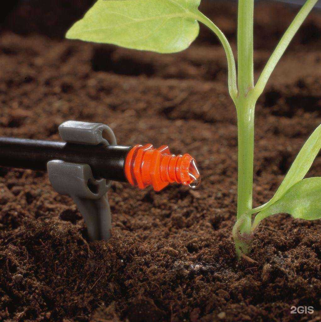 Отзывы на компанию Рейн-Торг в г. Ростов-на-Дону c фото