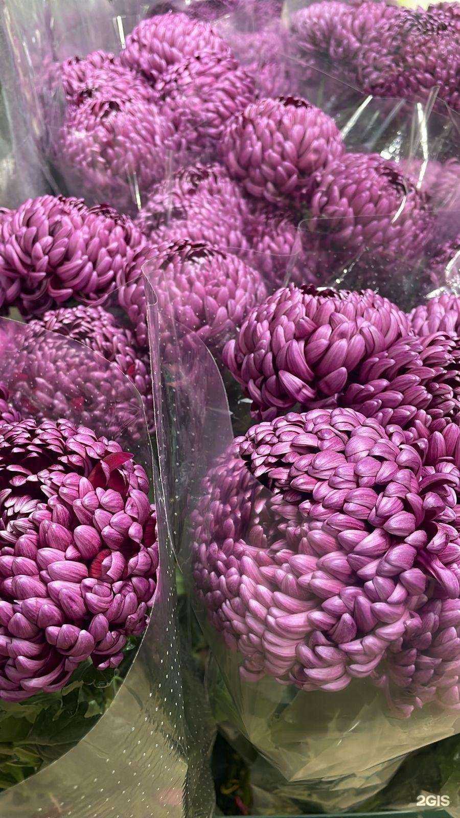 Отзывы на компанию Вип Усадьба в Пушкине c фото