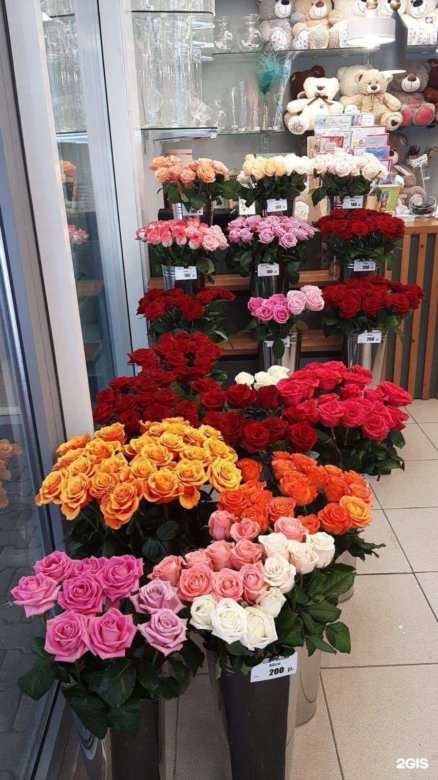 Отзывы на компанию Лаванда в Магнитогорске c фото