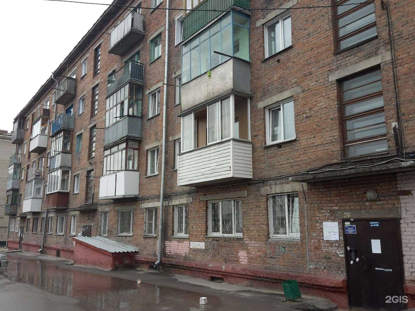 Отзывы на компанию Dog`s Art в Новосибирске c фото - фотография 2 из 2