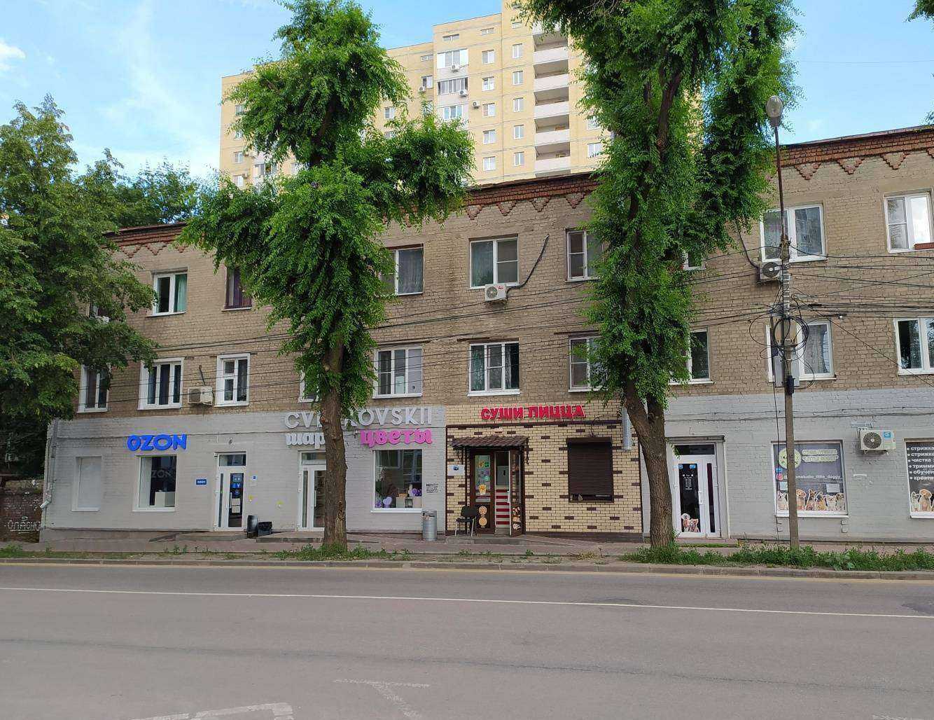 Отзывы на компанию Little doggy в Воронеже c фото - фотография 2 из 2