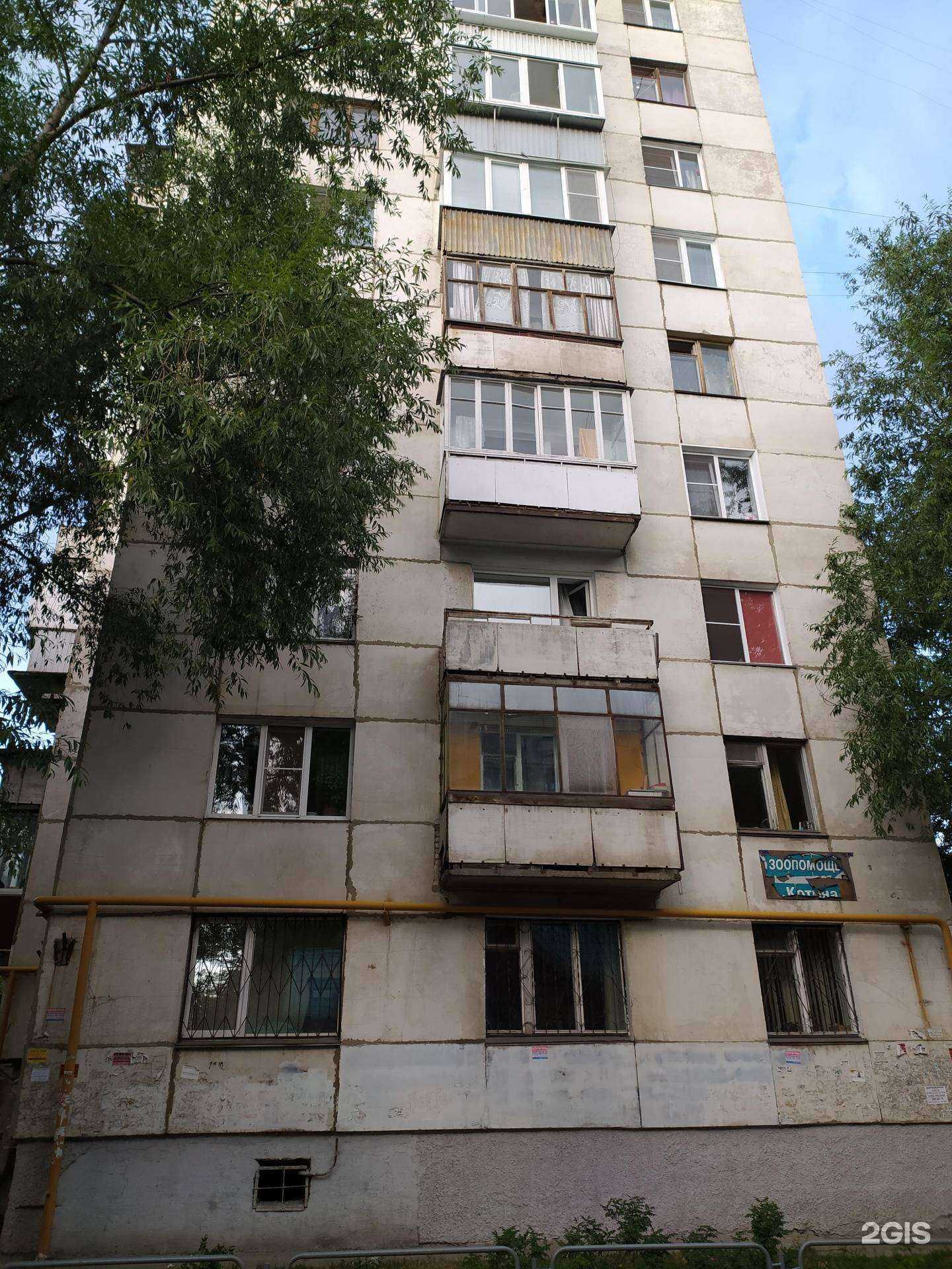 Отзывы на компанию Велес-вет в Челябинске c фото - фотография 2 из 2