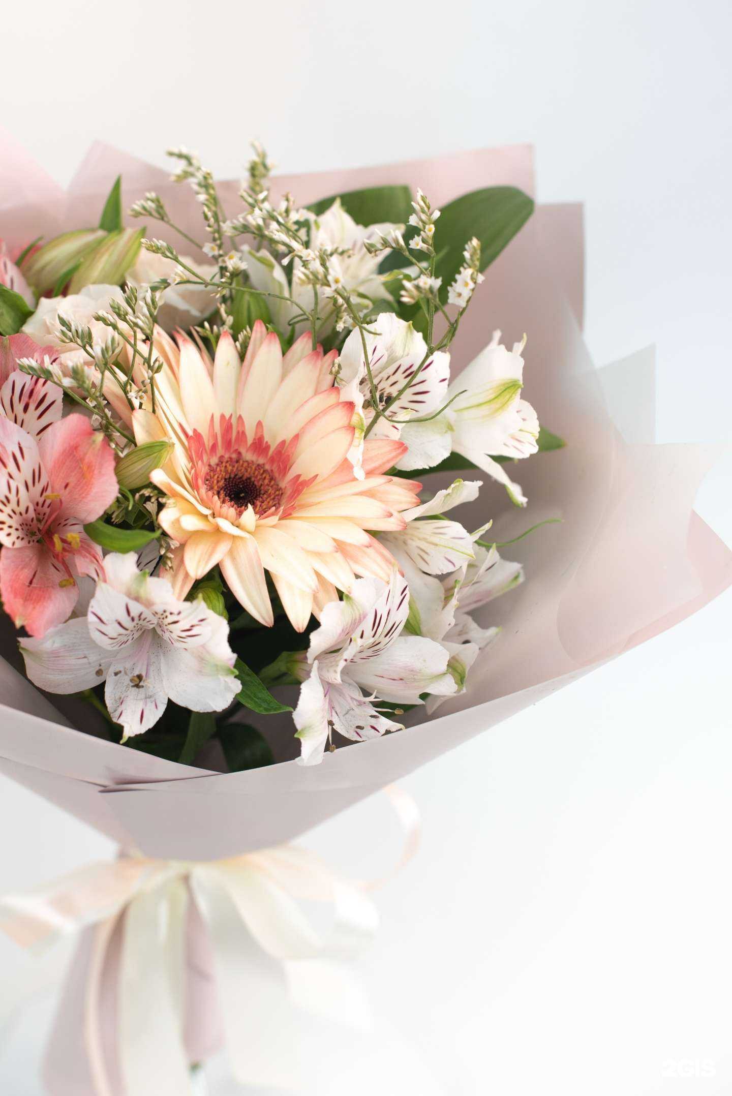 Отзывы на компанию Дом цветков в г. Бийск c фото