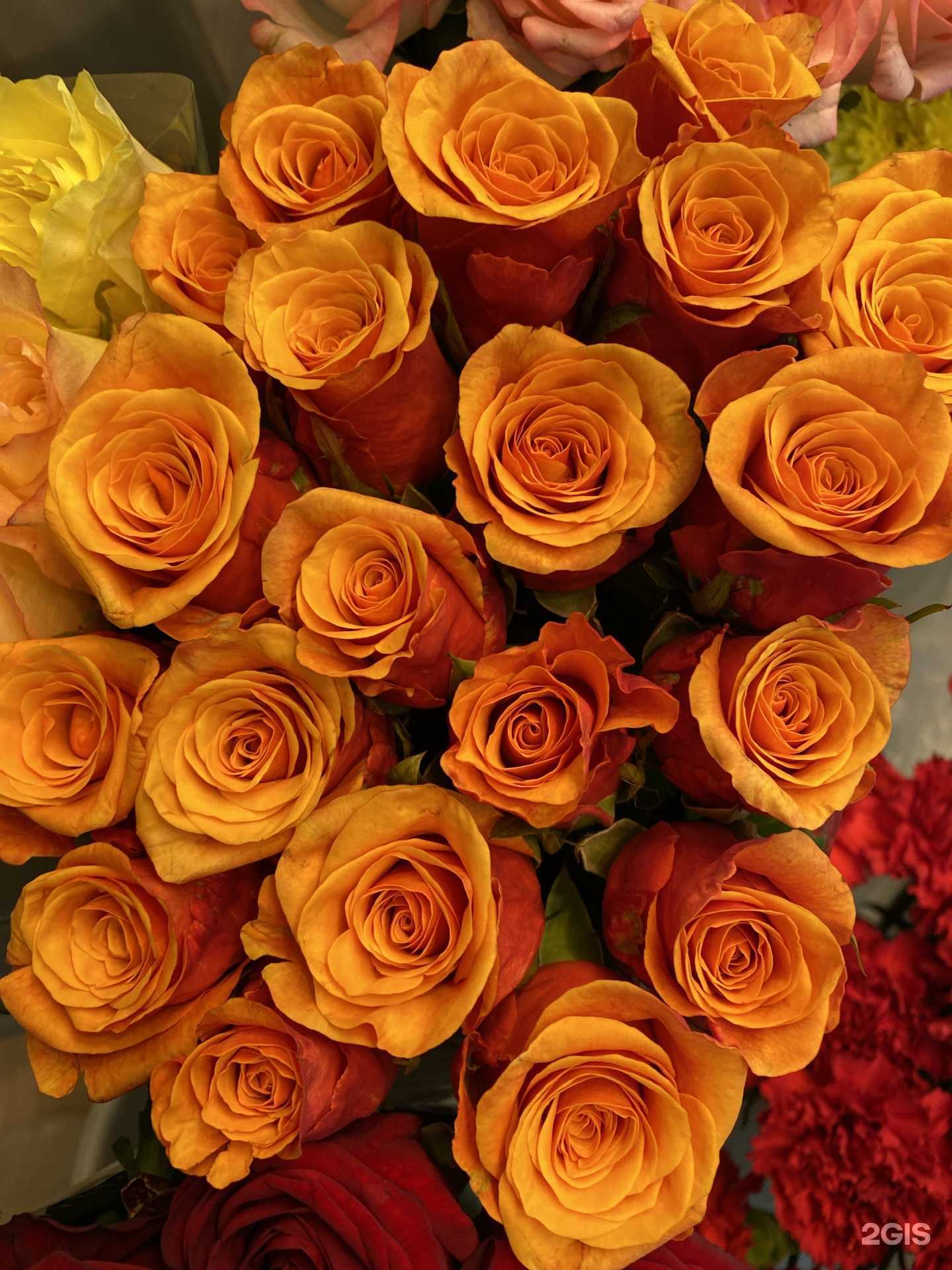 Отзывы на компанию Цветочный магазин в г. Саратов c фото