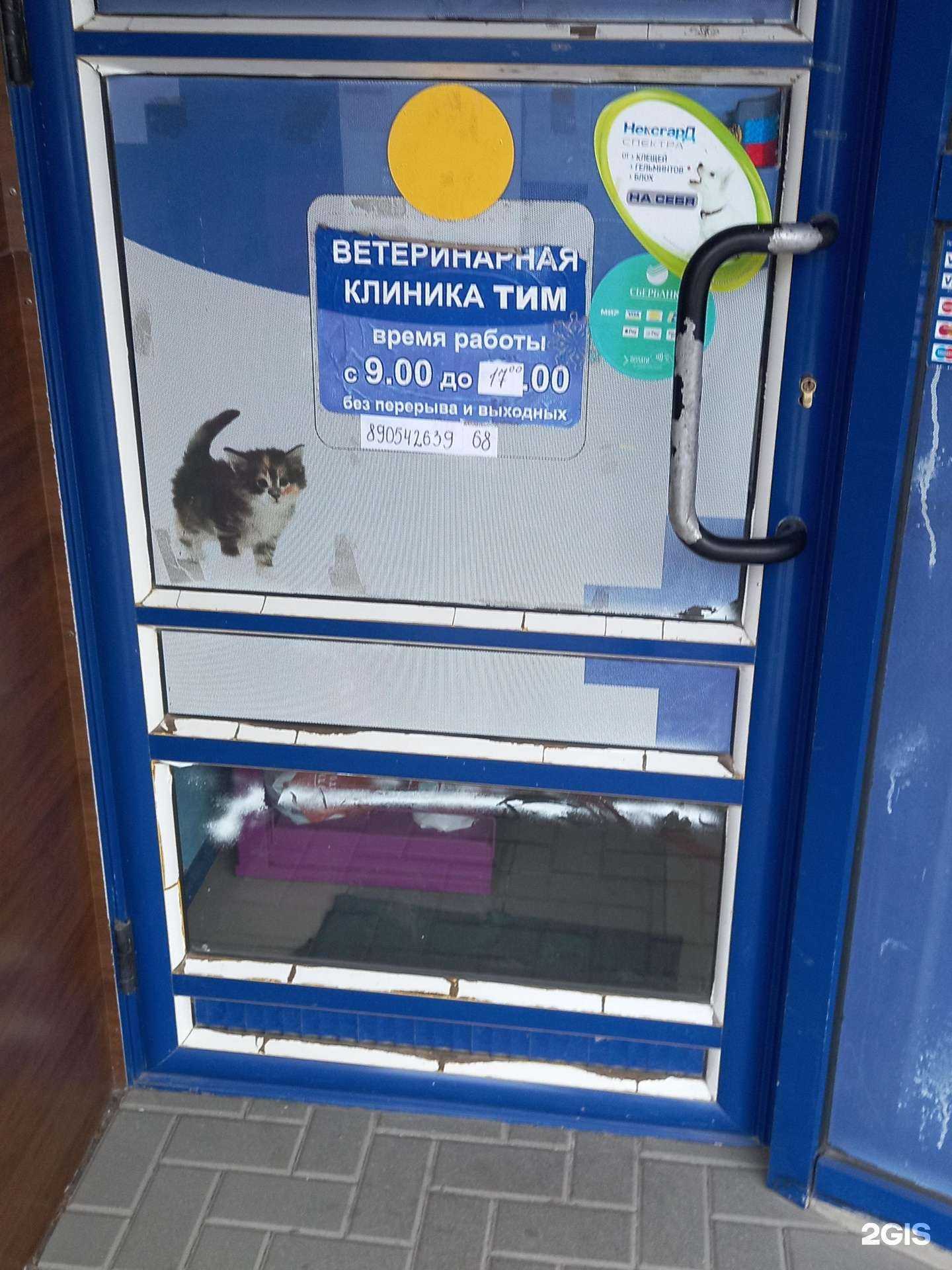 Отзывы на компанию Тим в г. Таганрог c фото