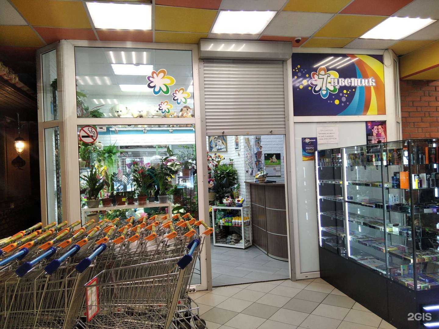 Отзывы на компанию 7 цветик в Мурманске c фото