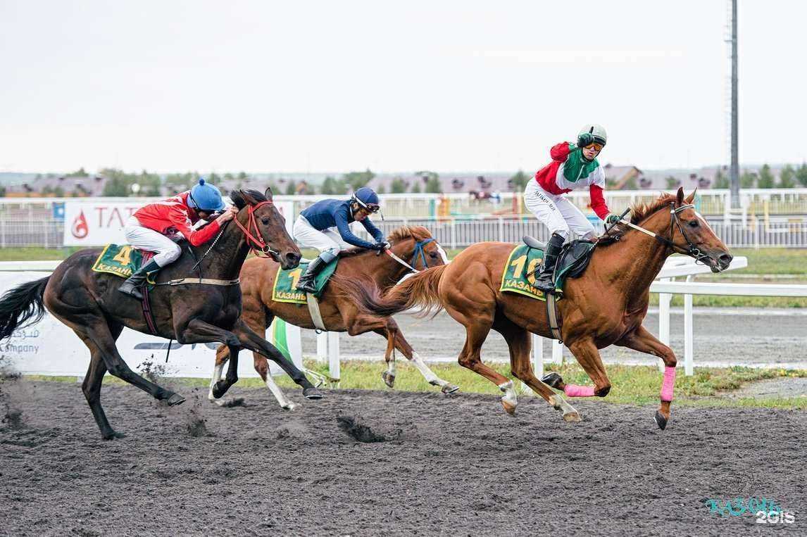 Отзывы на компанию Казанский ипподром в Казани c фото