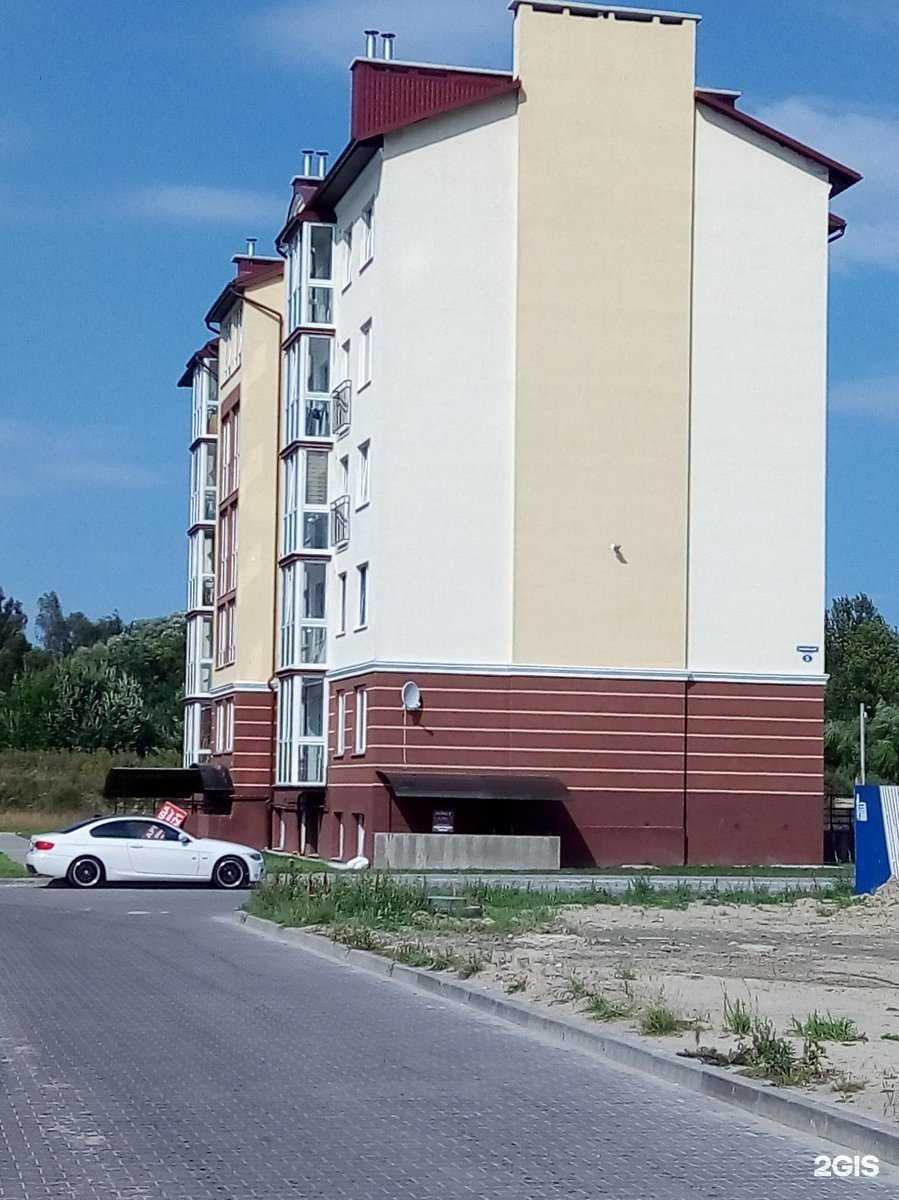 Отзывы на компанию Калининградская областная федерация каратэ кекусинкай в Гурьевске c фото - фотография 2 из 2