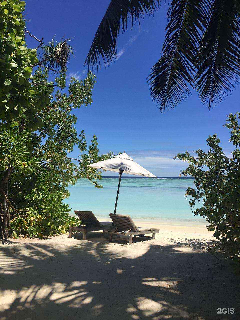 Отзывы на компанию Апис в г. Екатеринбург c фото