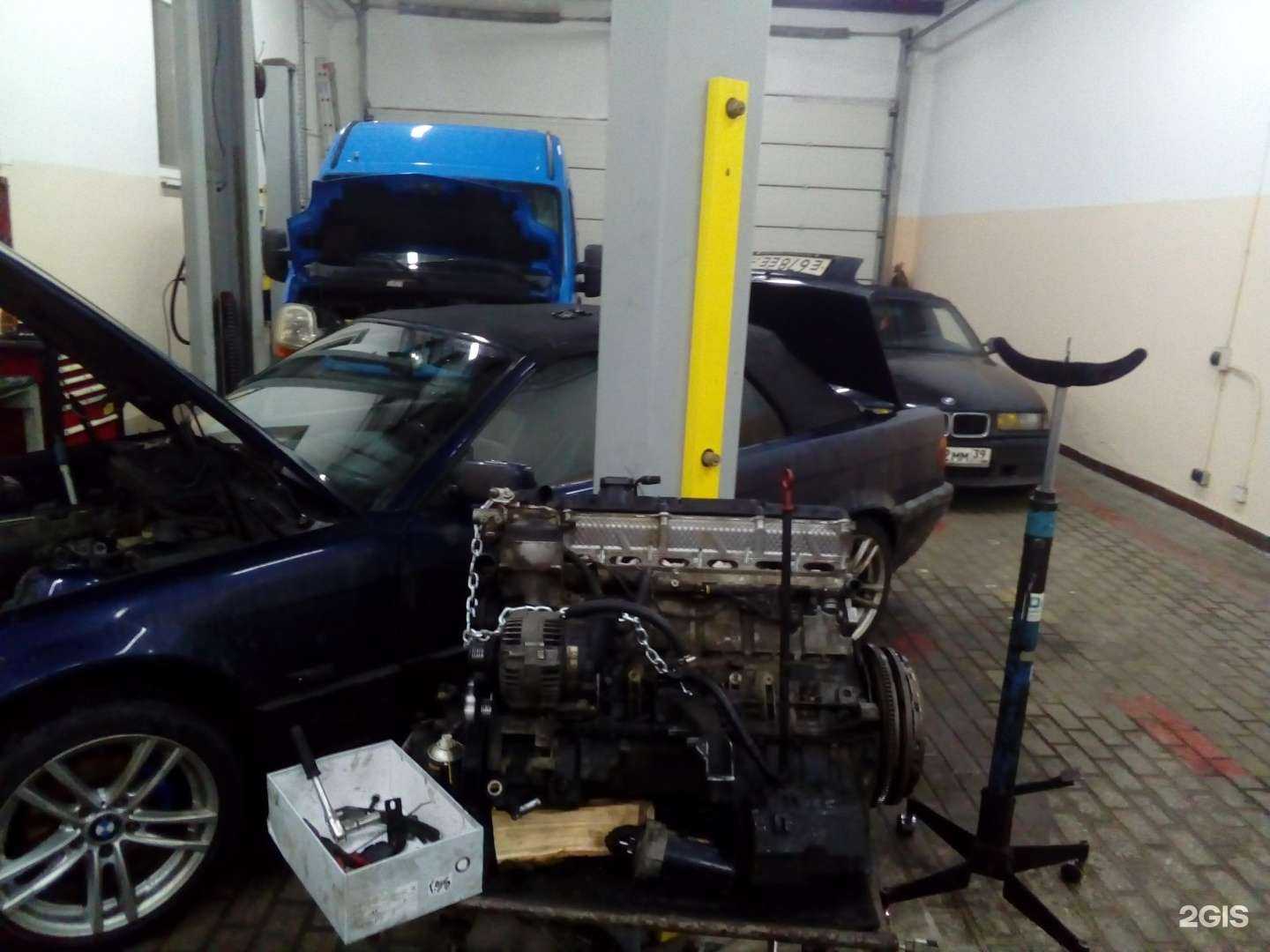 Отзывы на компанию Берд в Калининграде c фото