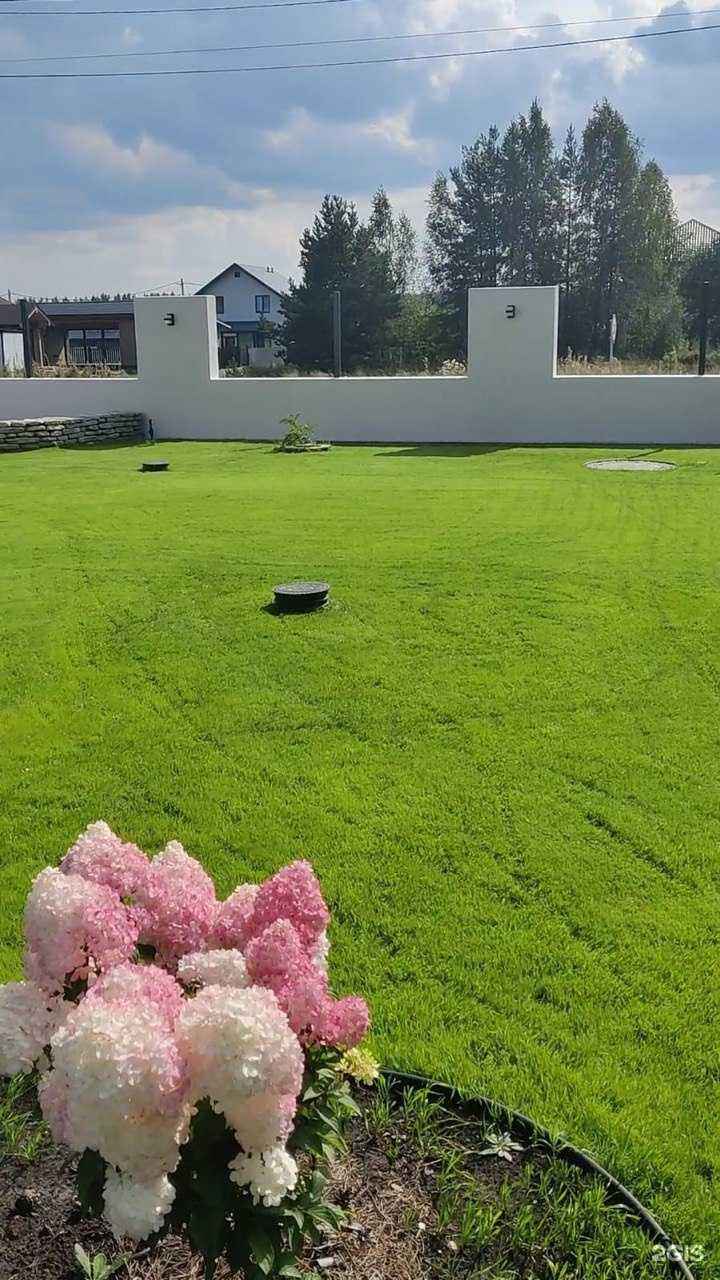 Отзывы на компанию Семена газона в г. Екатеринбург c фото