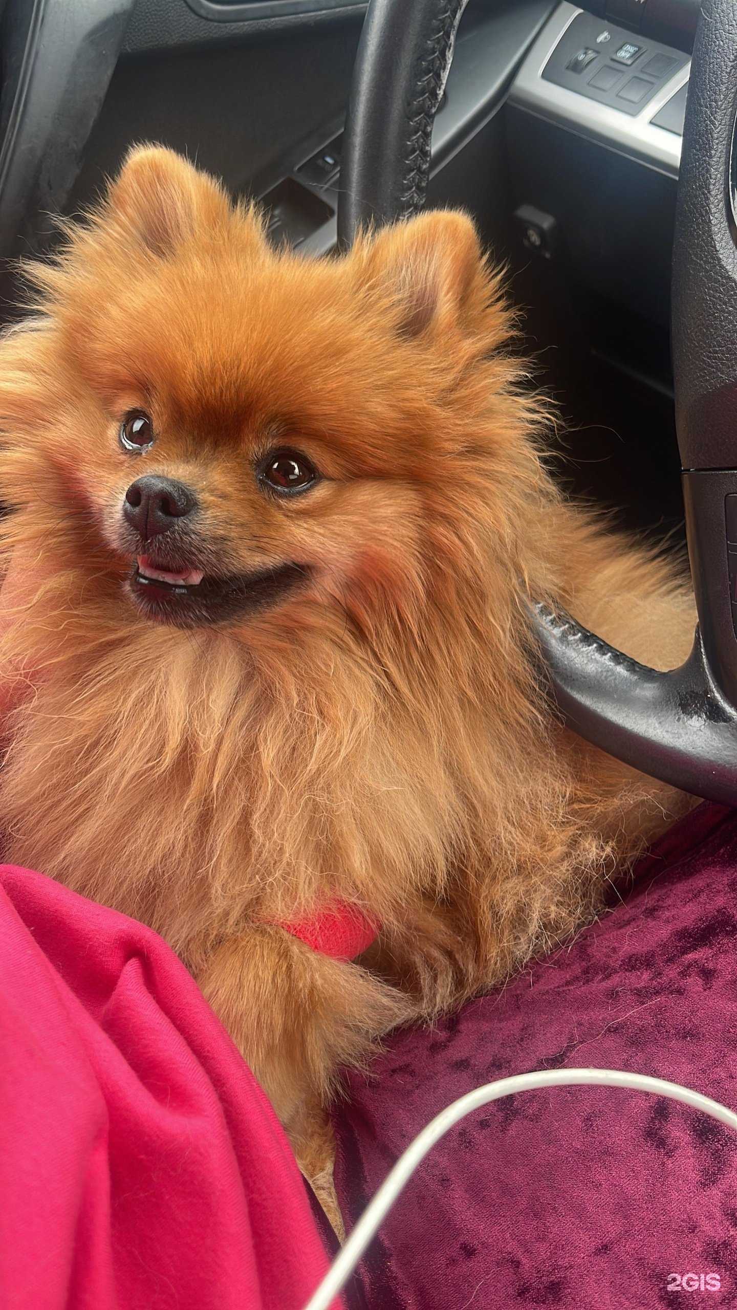 Отзывы на компанию Ветбарс в Казани c фото