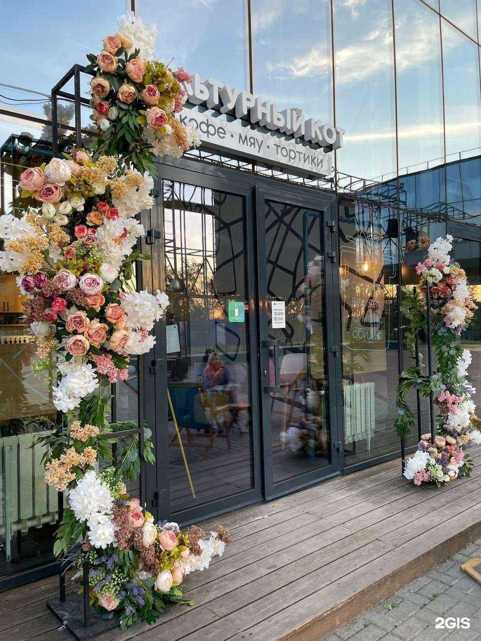 Отзывы на компанию Культурный кот в Калуге c фото