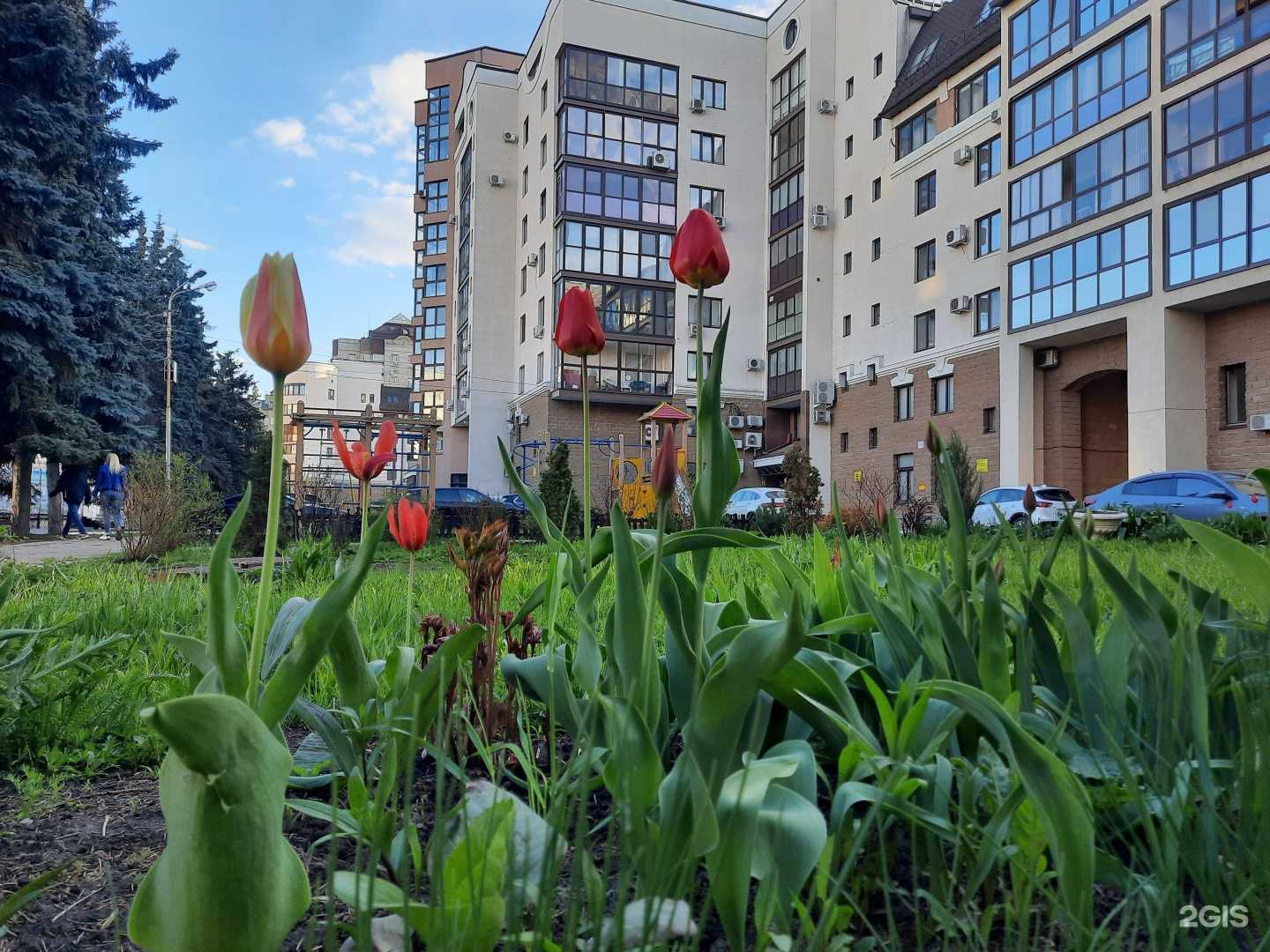 Отзывы на компанию Samsung в Уфе c фото - фотография 2 из 2