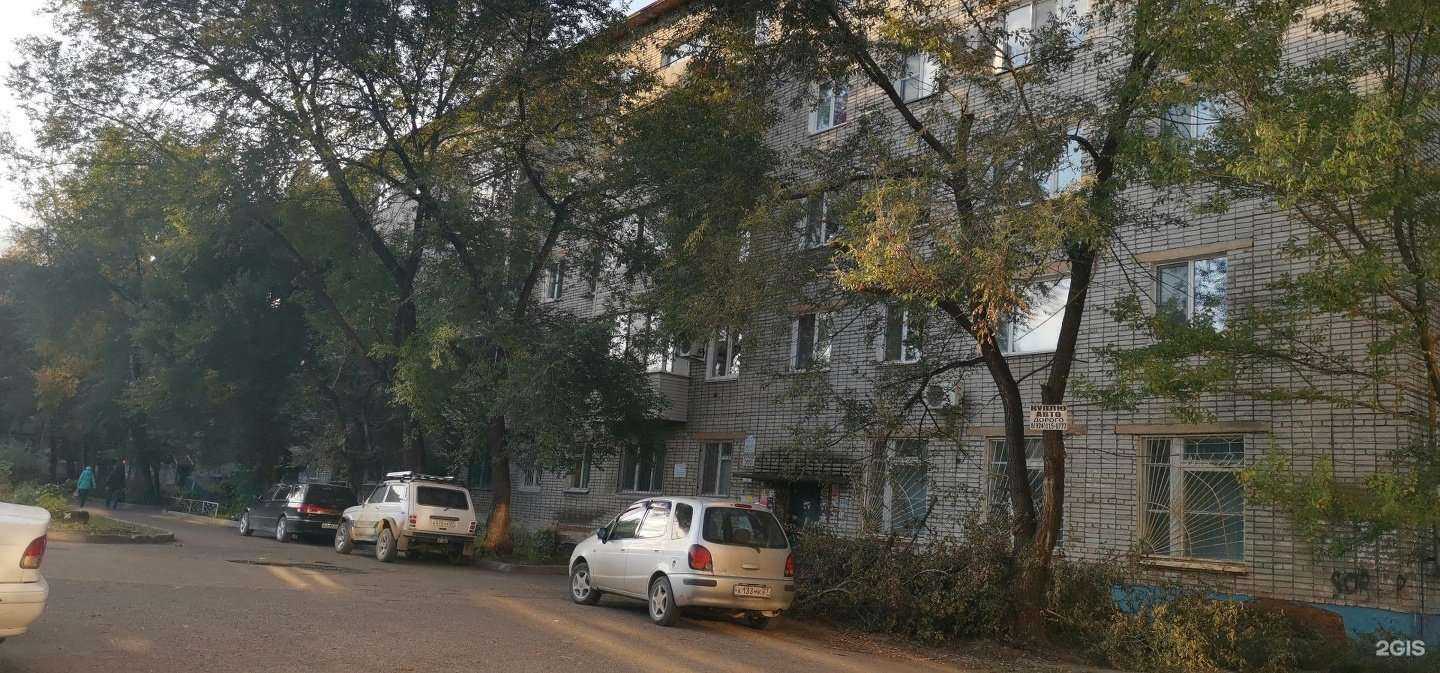 Отзывы на компанию Стелла-дент в Комсомольске-на-Амуре c фото - фотография 2 из 2