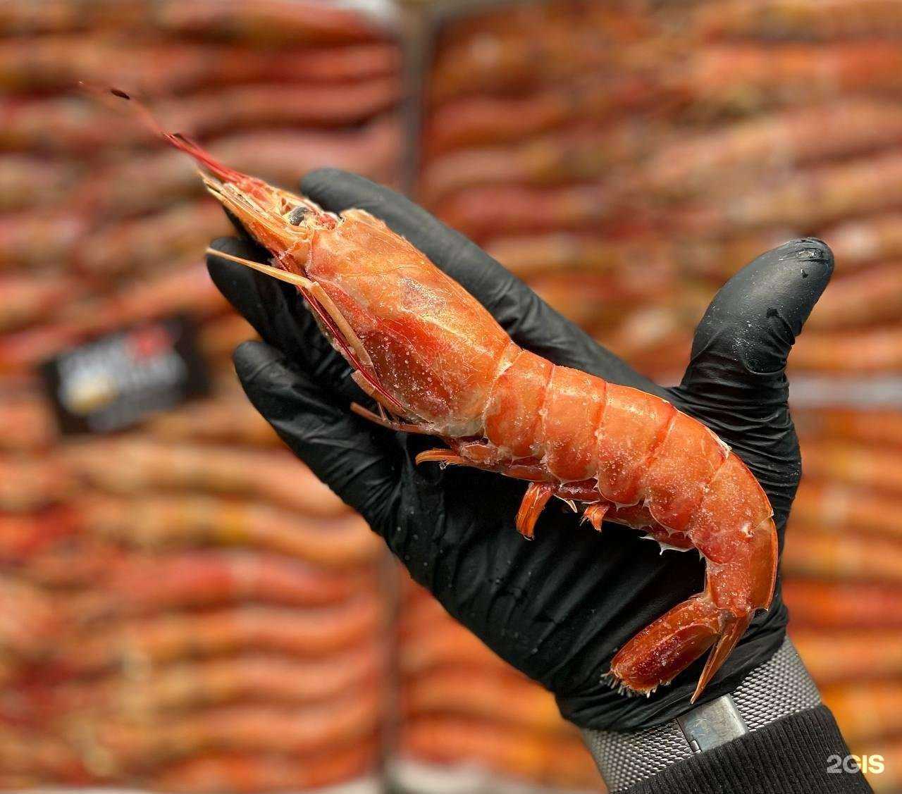 Отзывы на компанию Раки Пена в Тюмени c фото