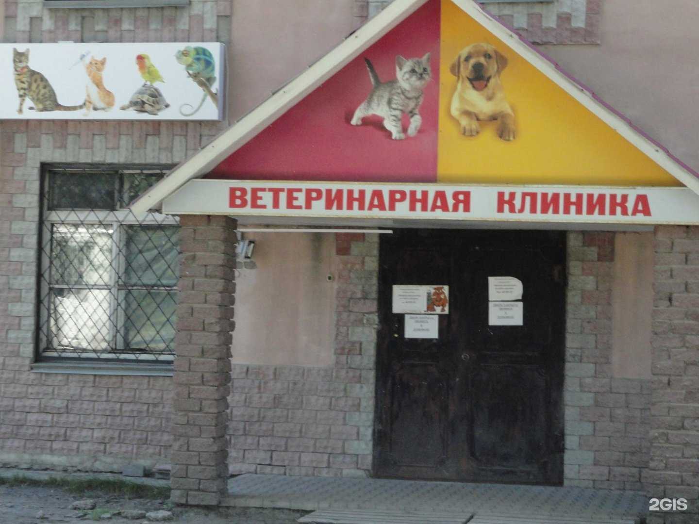 Отзывы на компанию Панта Рэй в Кургане c фото - фотография 2 из 2