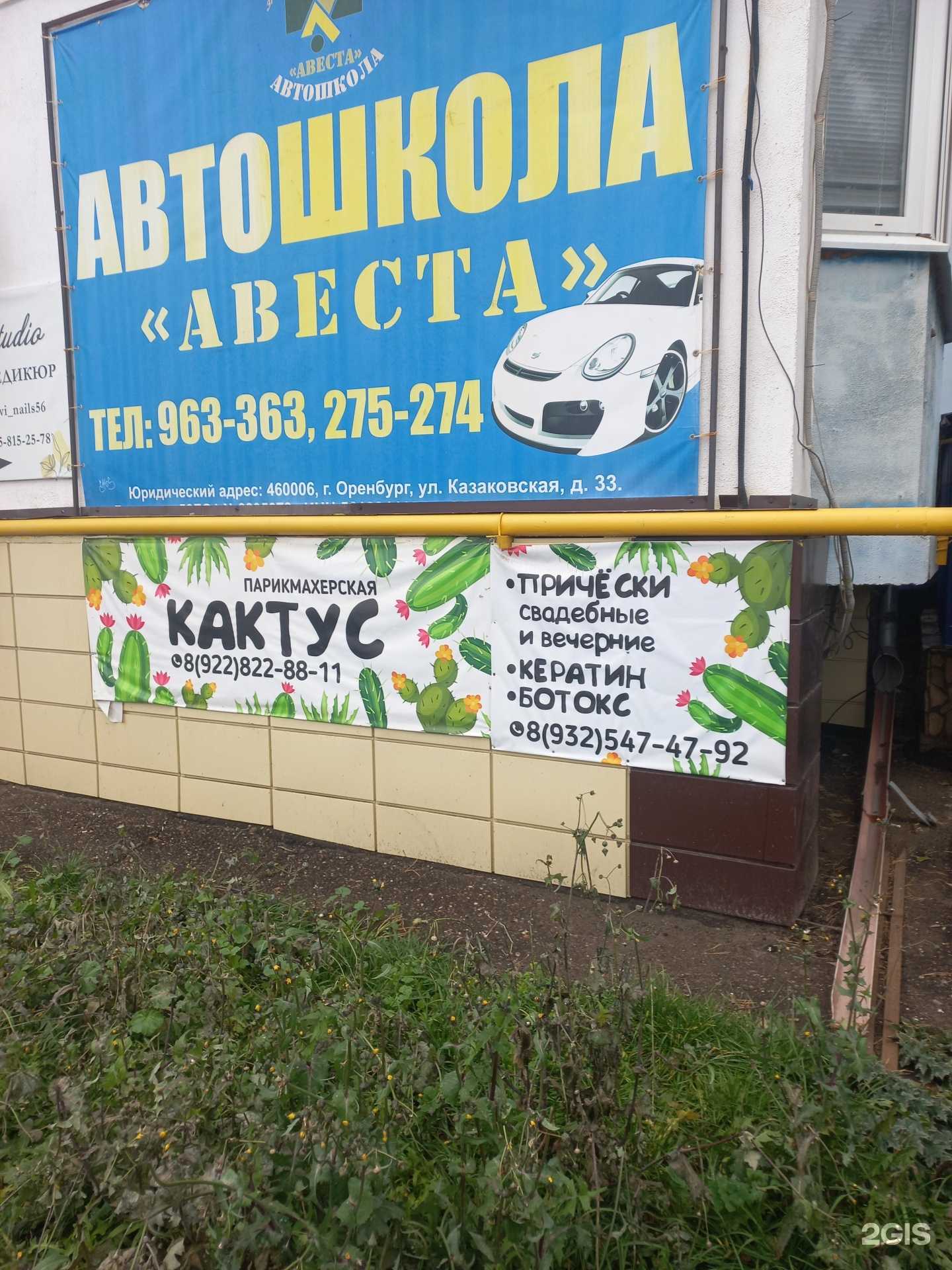 Отзывы на компанию Кактус в г. Оренбург c фото