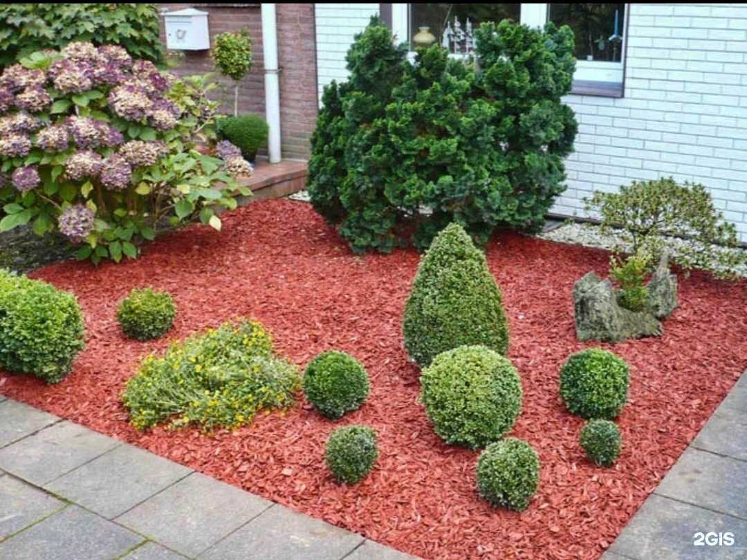 Отзывы на компанию Кора Сибири в Томске c фото