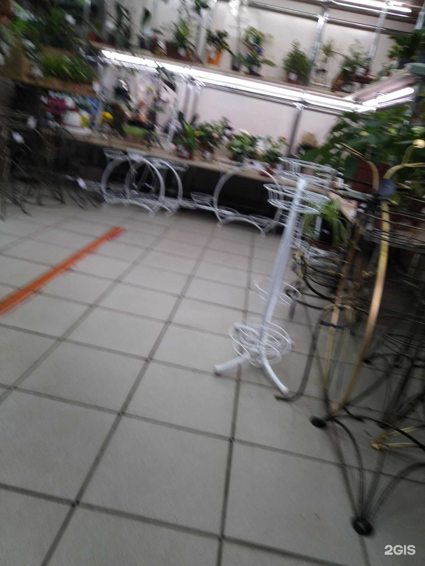 Отзывы на компанию Флора в Электростали c фото