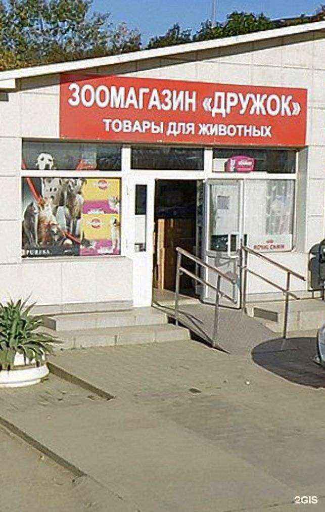 Отзывы на компанию Дружок в Сочи c фото