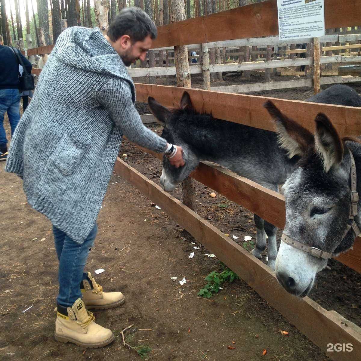 Отзывы на компанию Quest Brothers в Червленом Яре в Воронеже c фото - фотография 2 из 2