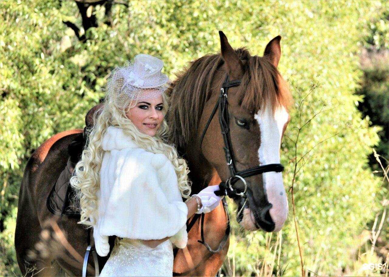 Отзывы на компанию Стриж в г. Сыктывкар c фото