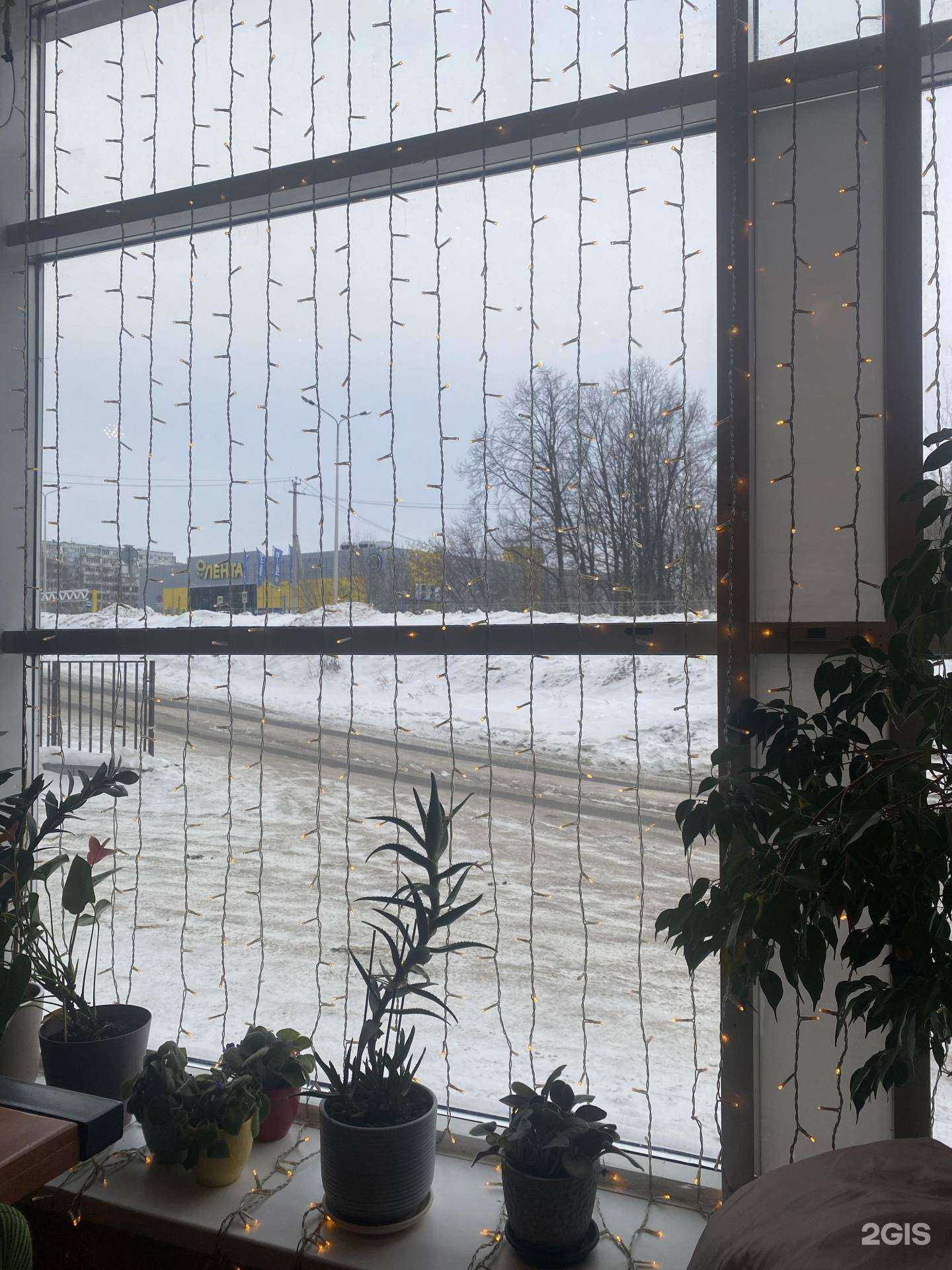 Отзывы на компанию Cool Gali Auto в Казани c фото