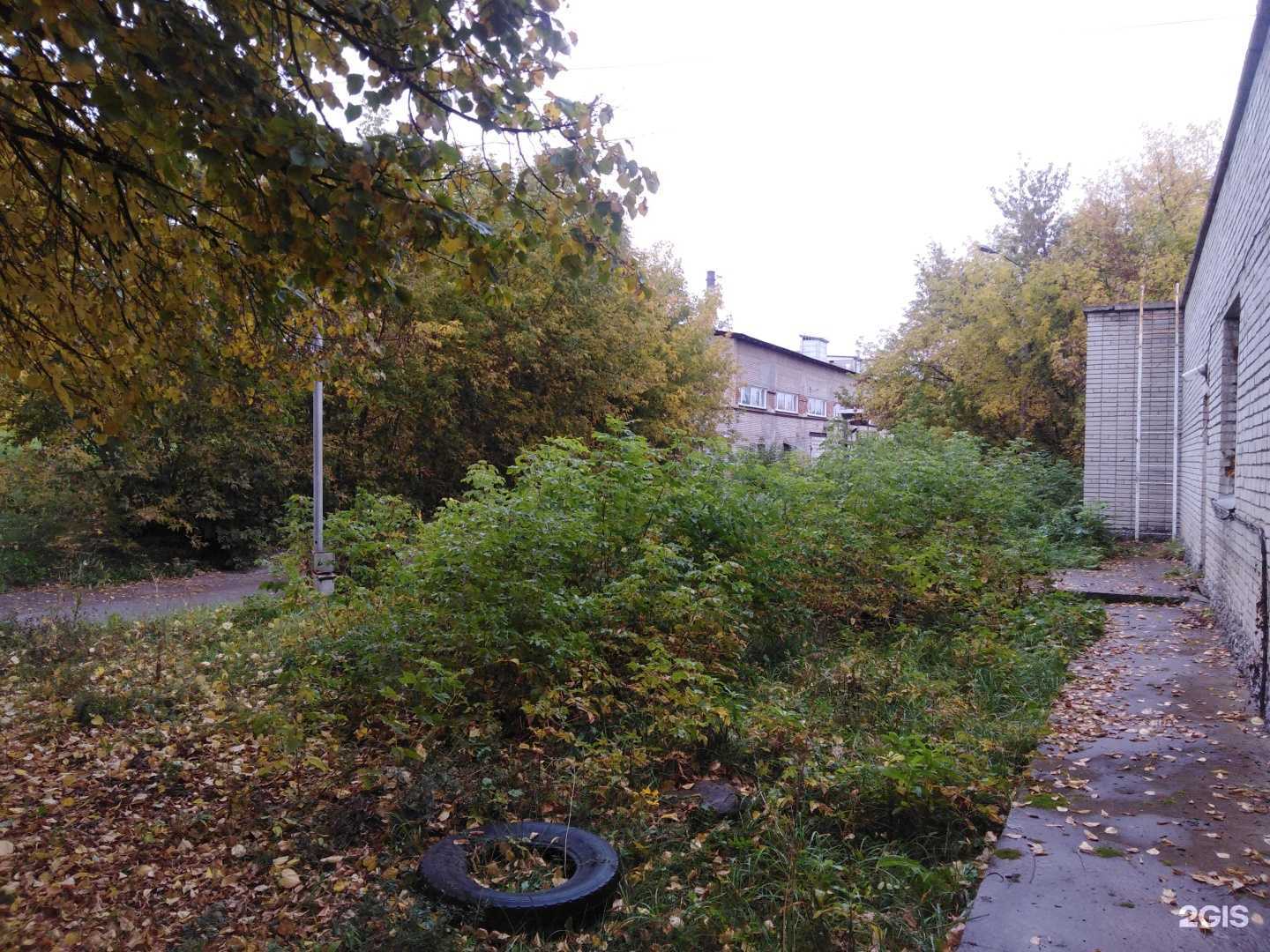 Отзывы на компанию Апифрам в г. Бердск c фото