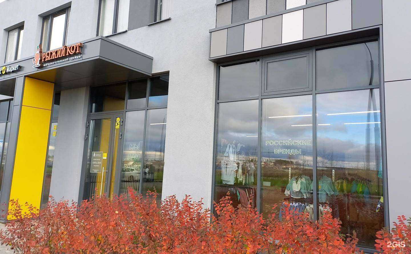 Отзывы на компанию Рыжий кот в г. Екатеринбург c фото