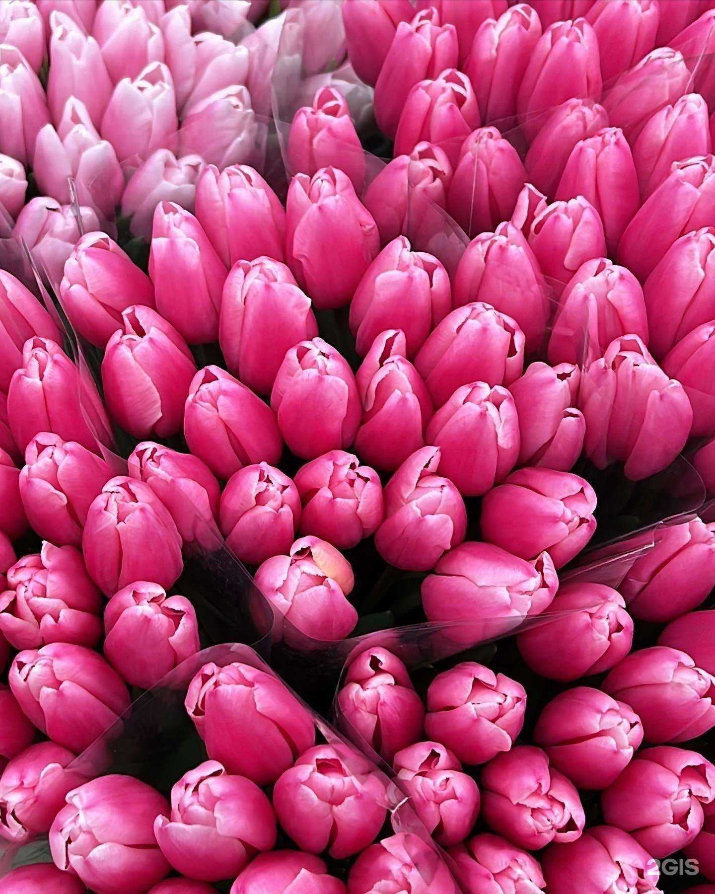 Отзывы на компанию Бутон в г. Краснодар c фото