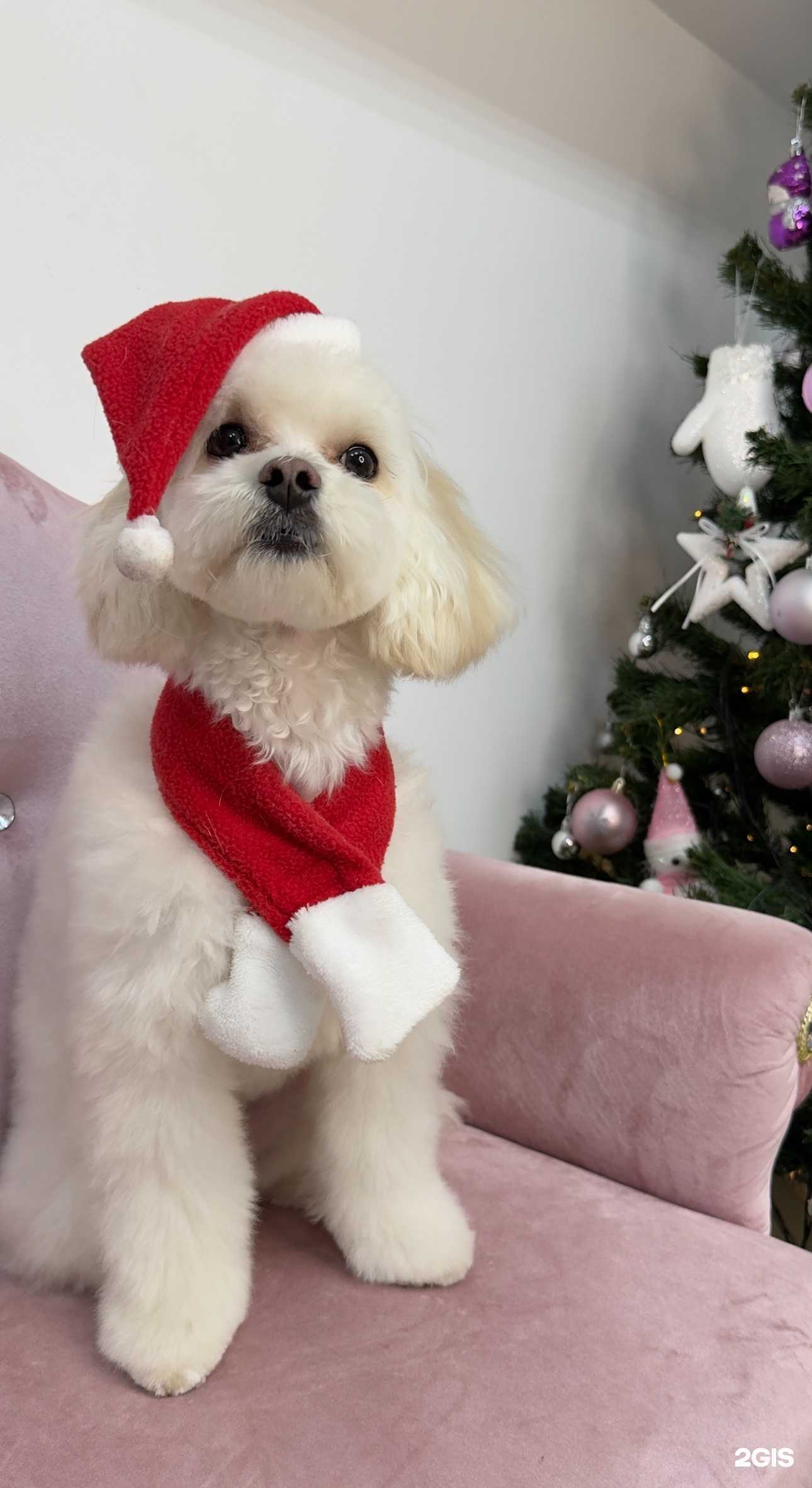 Отзывы на компанию Максигрум в г. Каспийск c фото