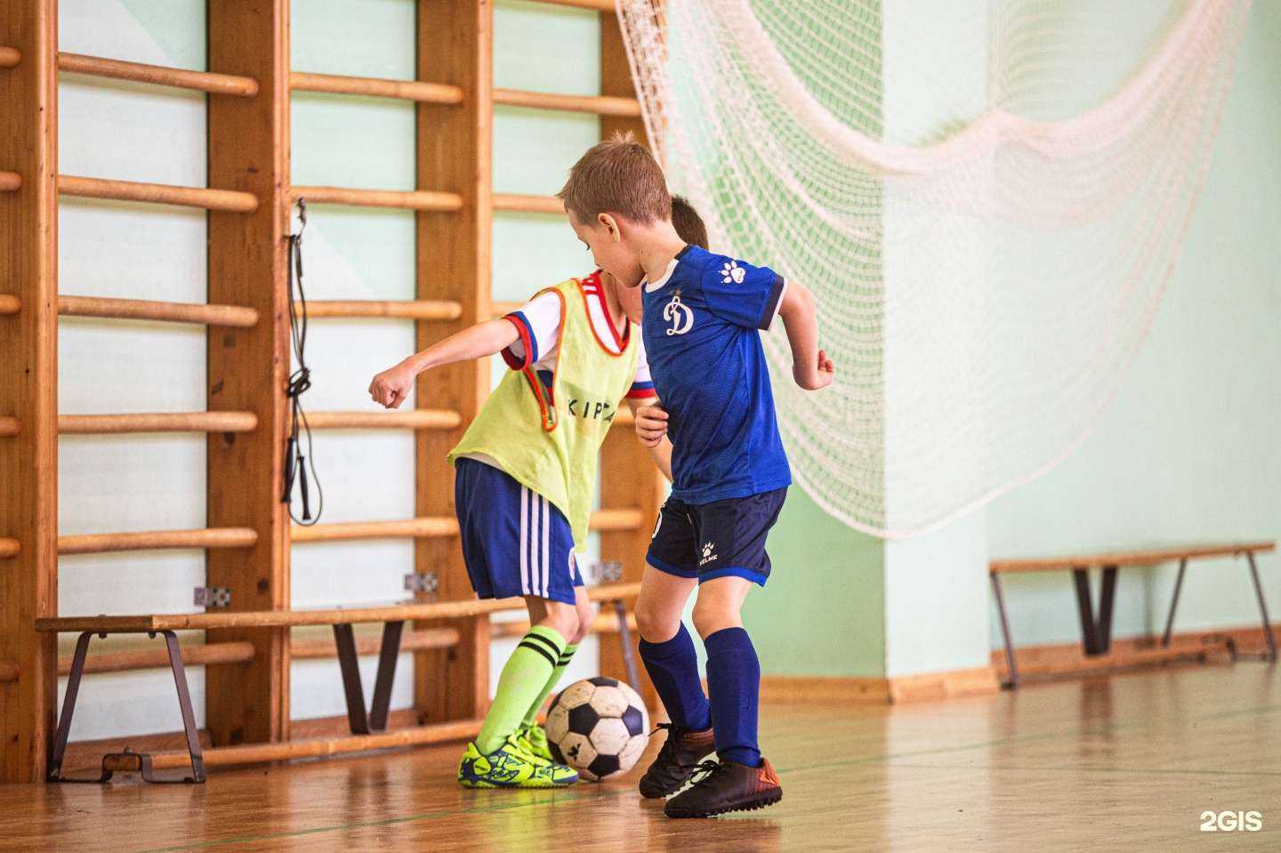 Отзывы на компанию Динамо в Воронеже c фото