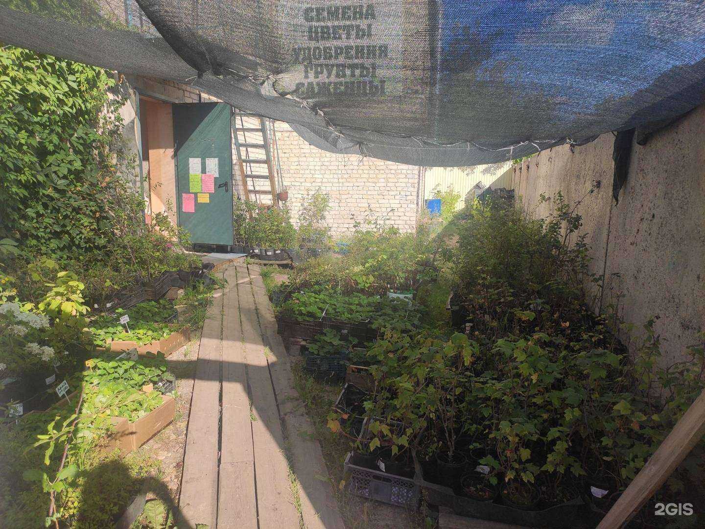 Отзывы на компанию Мир цветов в Арзамасе c фото