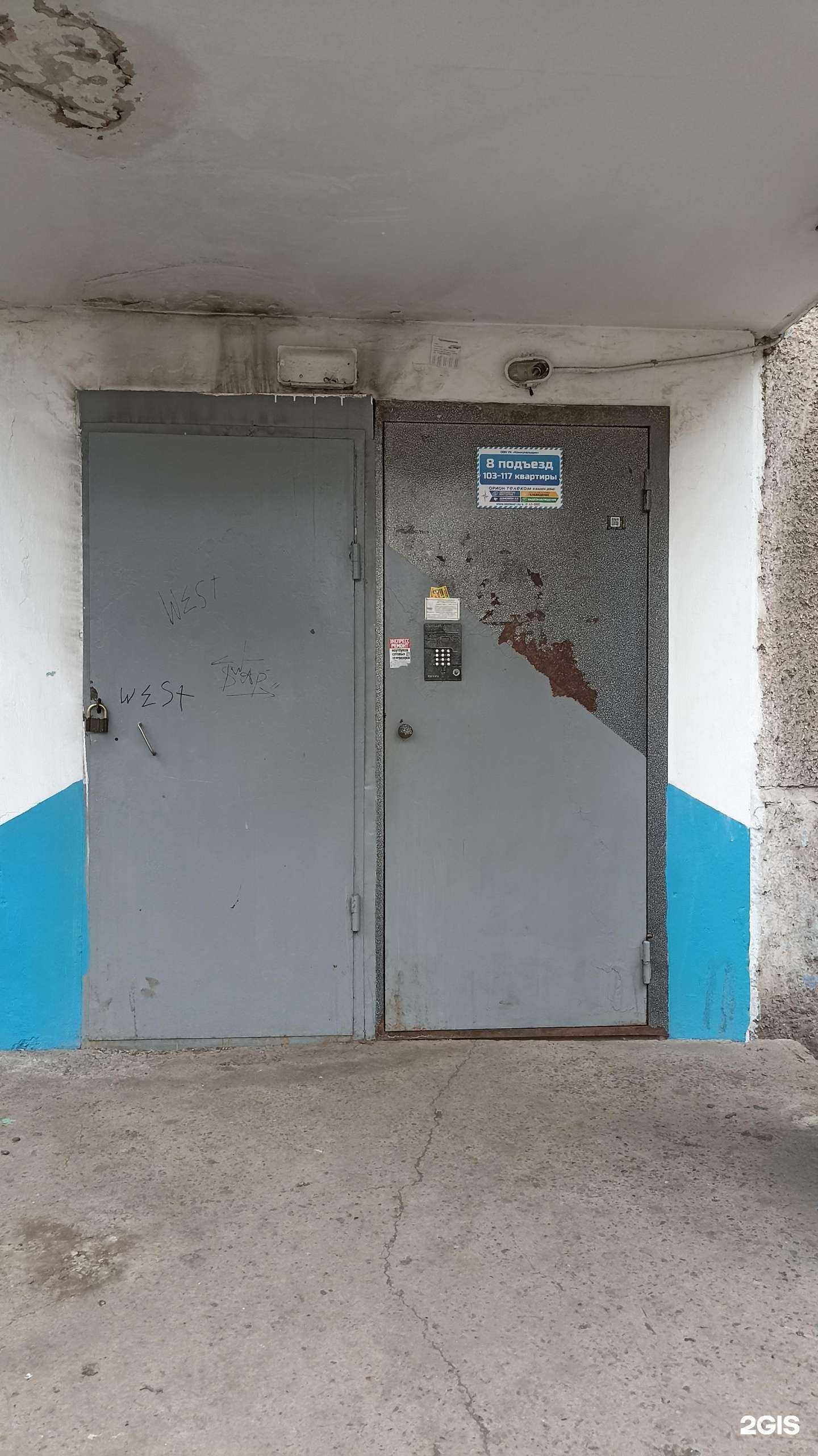 Отзывы на компанию Любимые лапки в Черногорске c фото - фотография 2 из 2