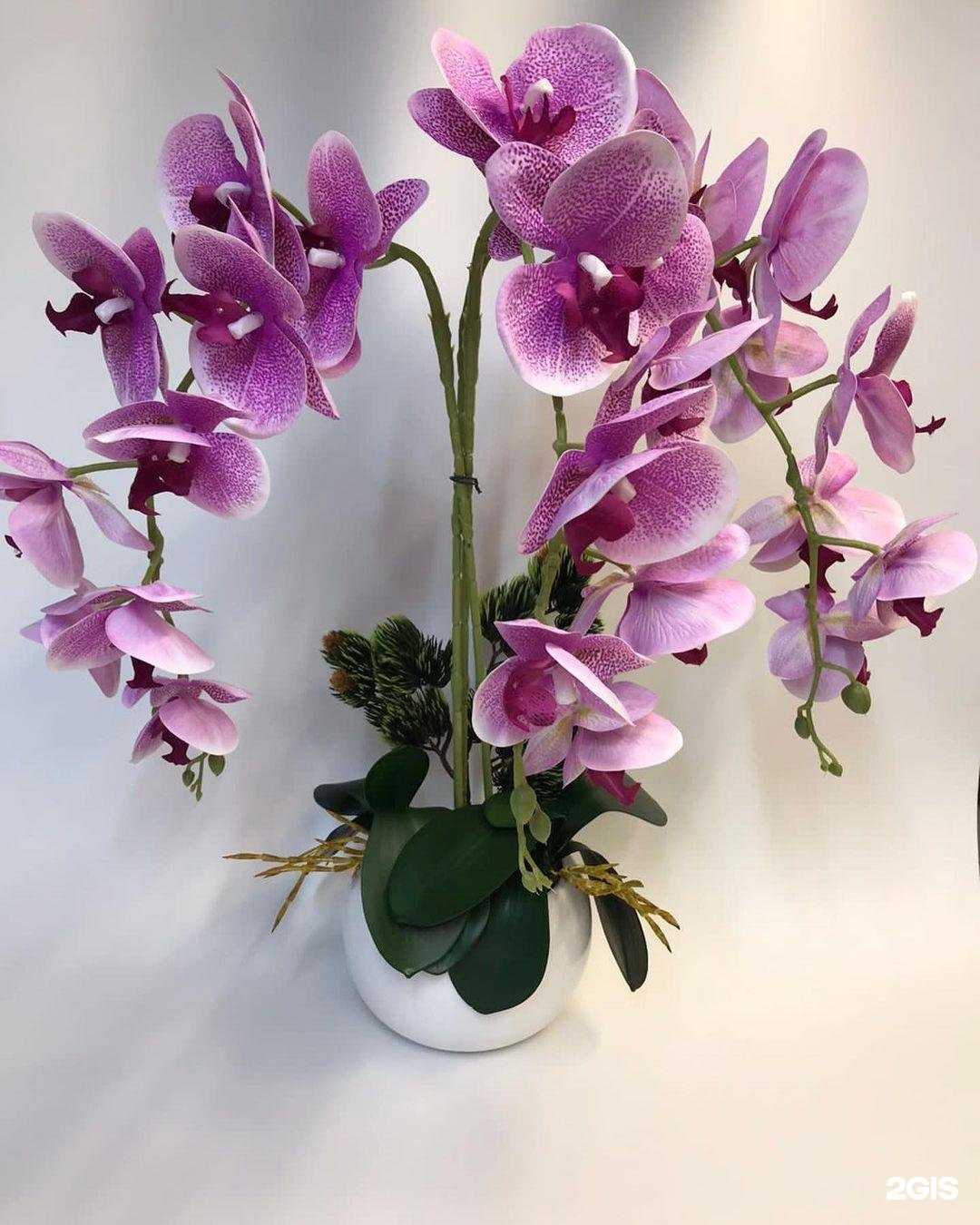 Отзывы на компанию Роза Цветов в г. Волжский c фото